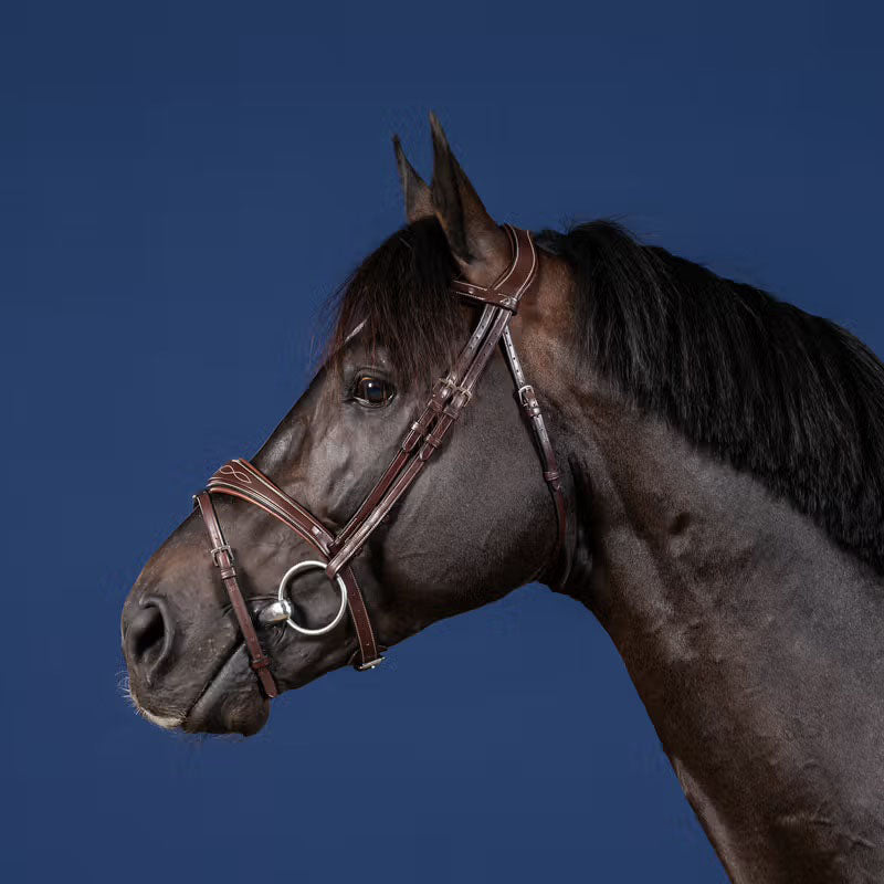 Dyon Anatomic Signature Bridle w/Flash