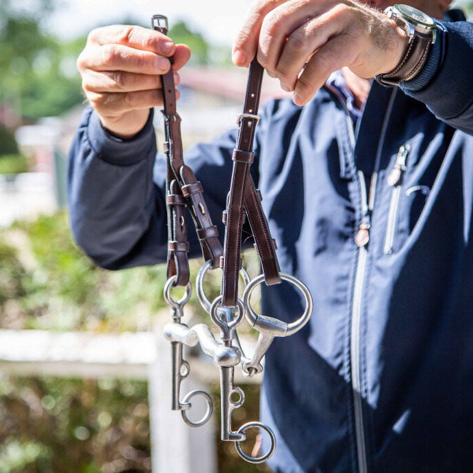 Dyon Double Bridle Converter steel