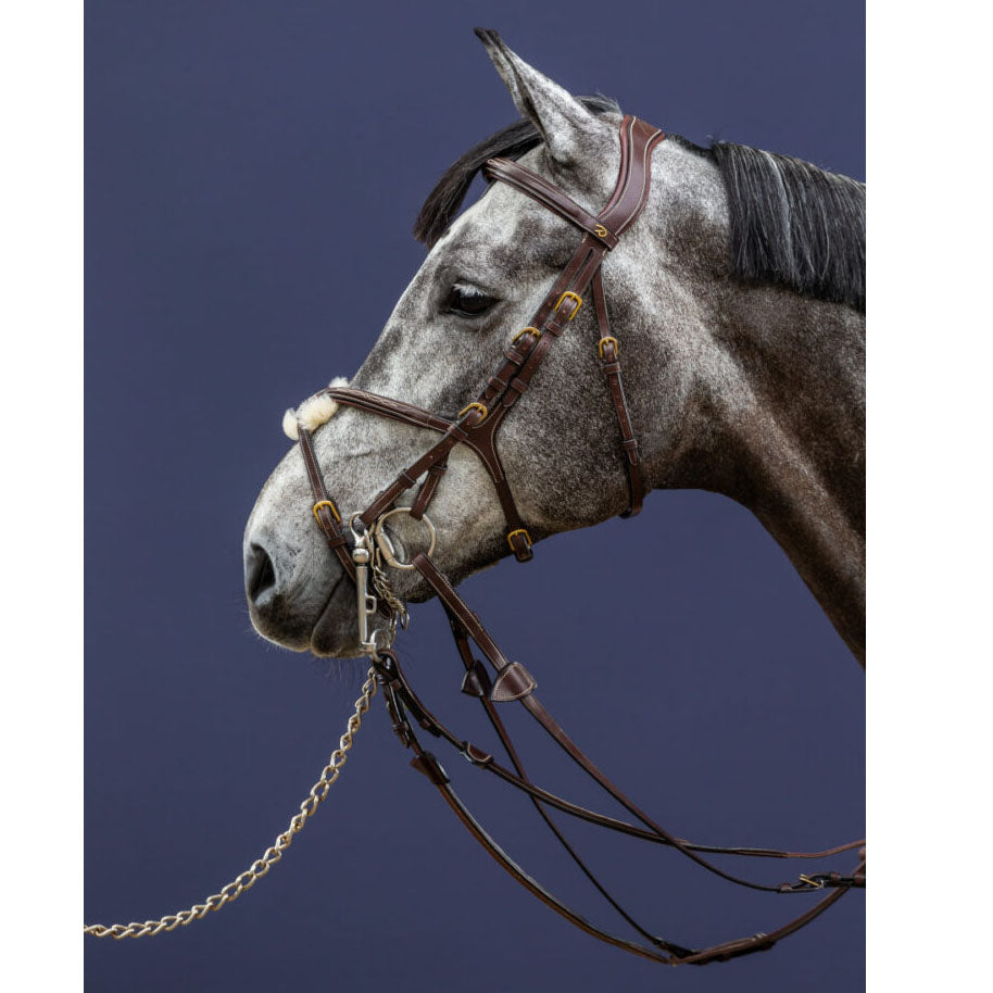 Dyon Double Bridle Converter brass