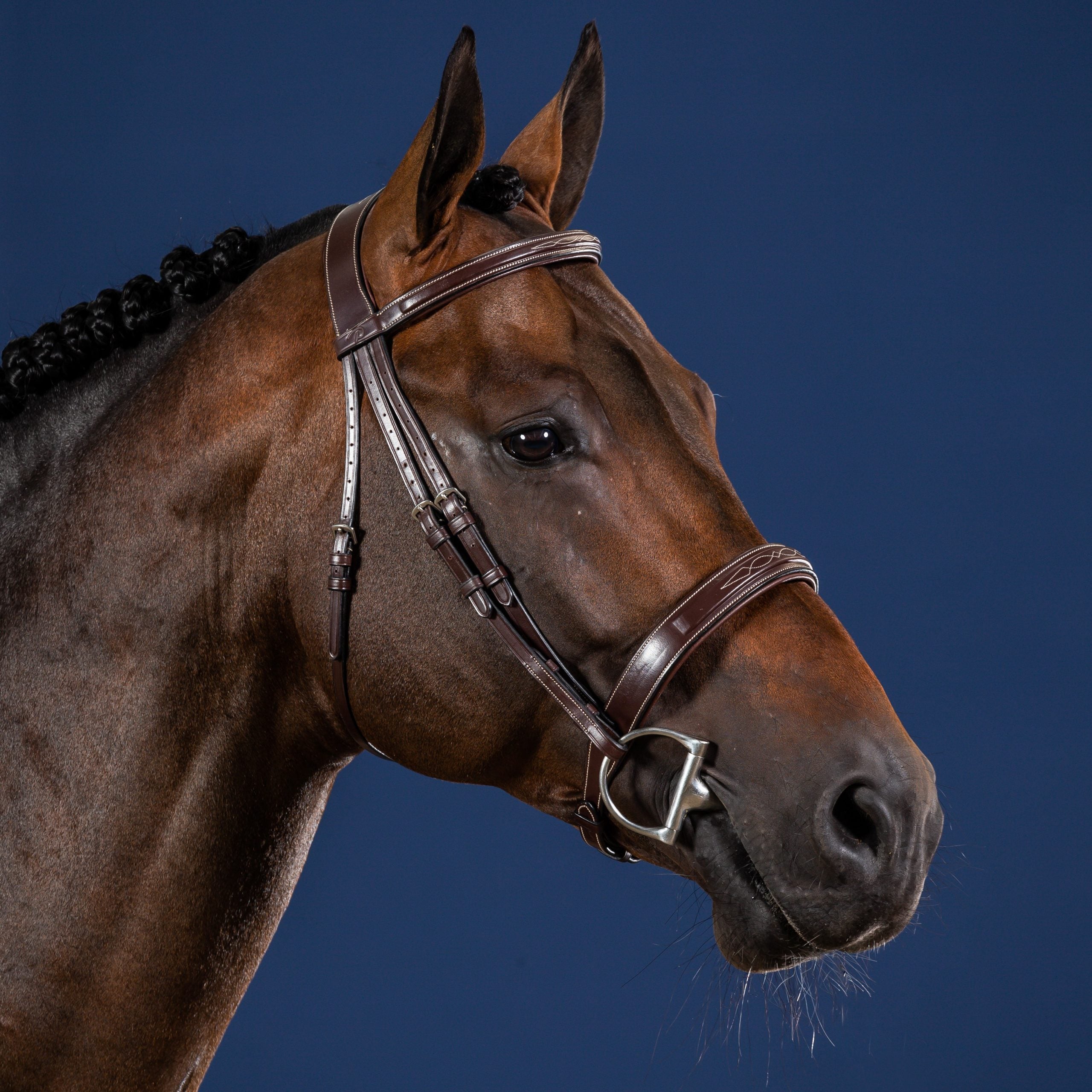Dyon Hunter Padded Wide Nose Bridle