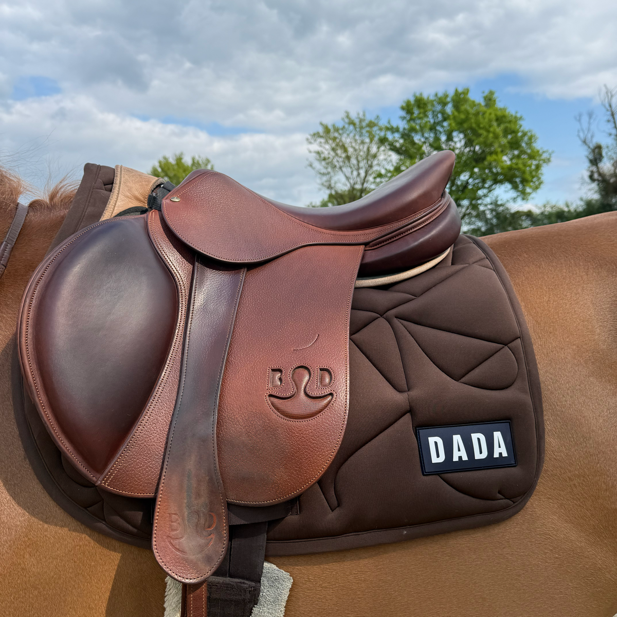 Dada Sport Fit for Fun Saddle Pad
