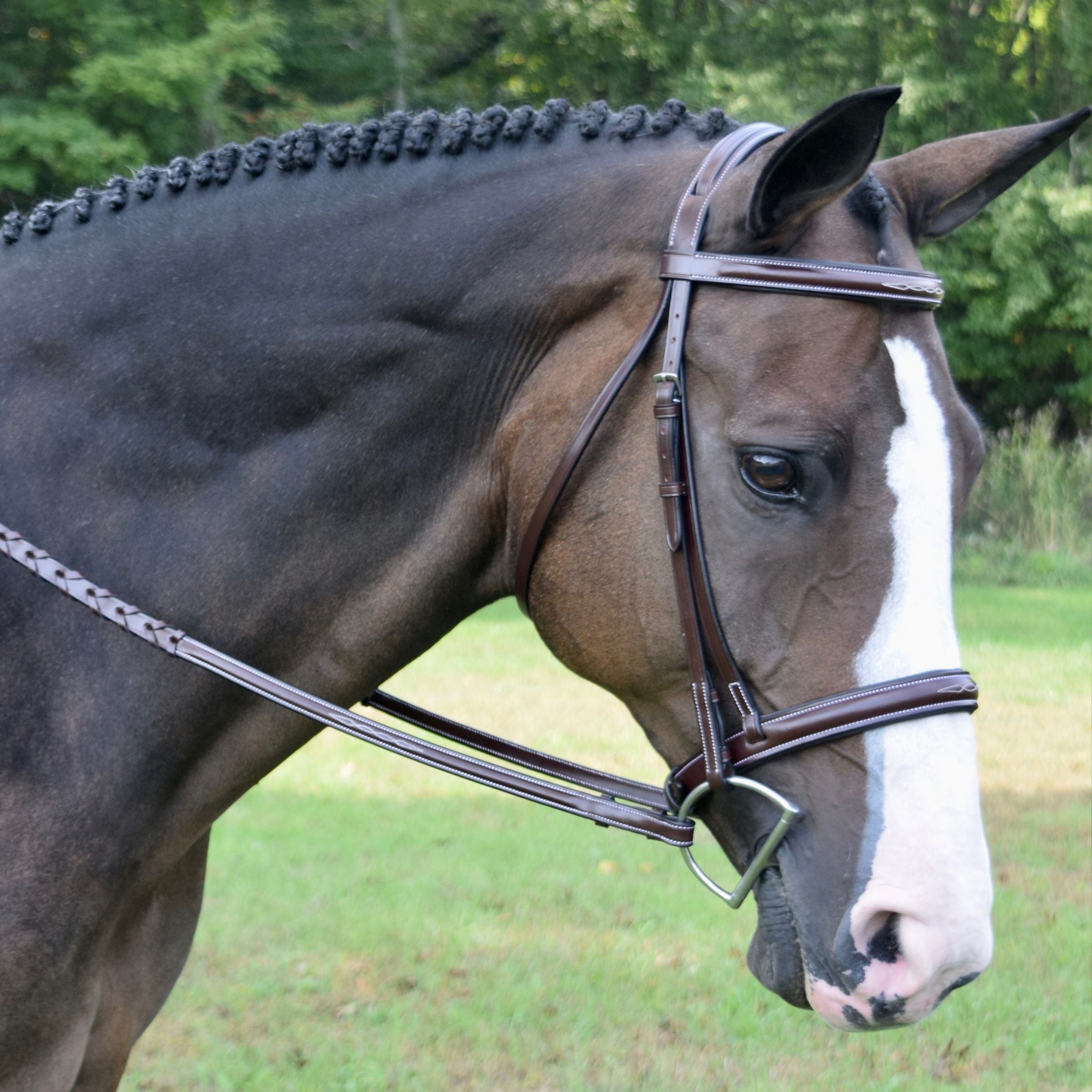 Red Barn Spirit Wide Nose Bridle