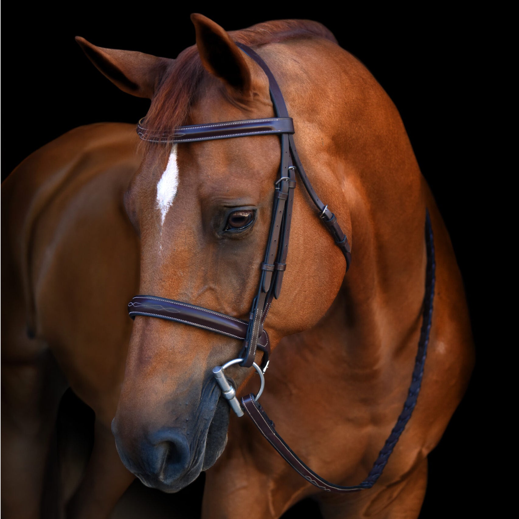 Black Oak Poppy Hunter Bridle