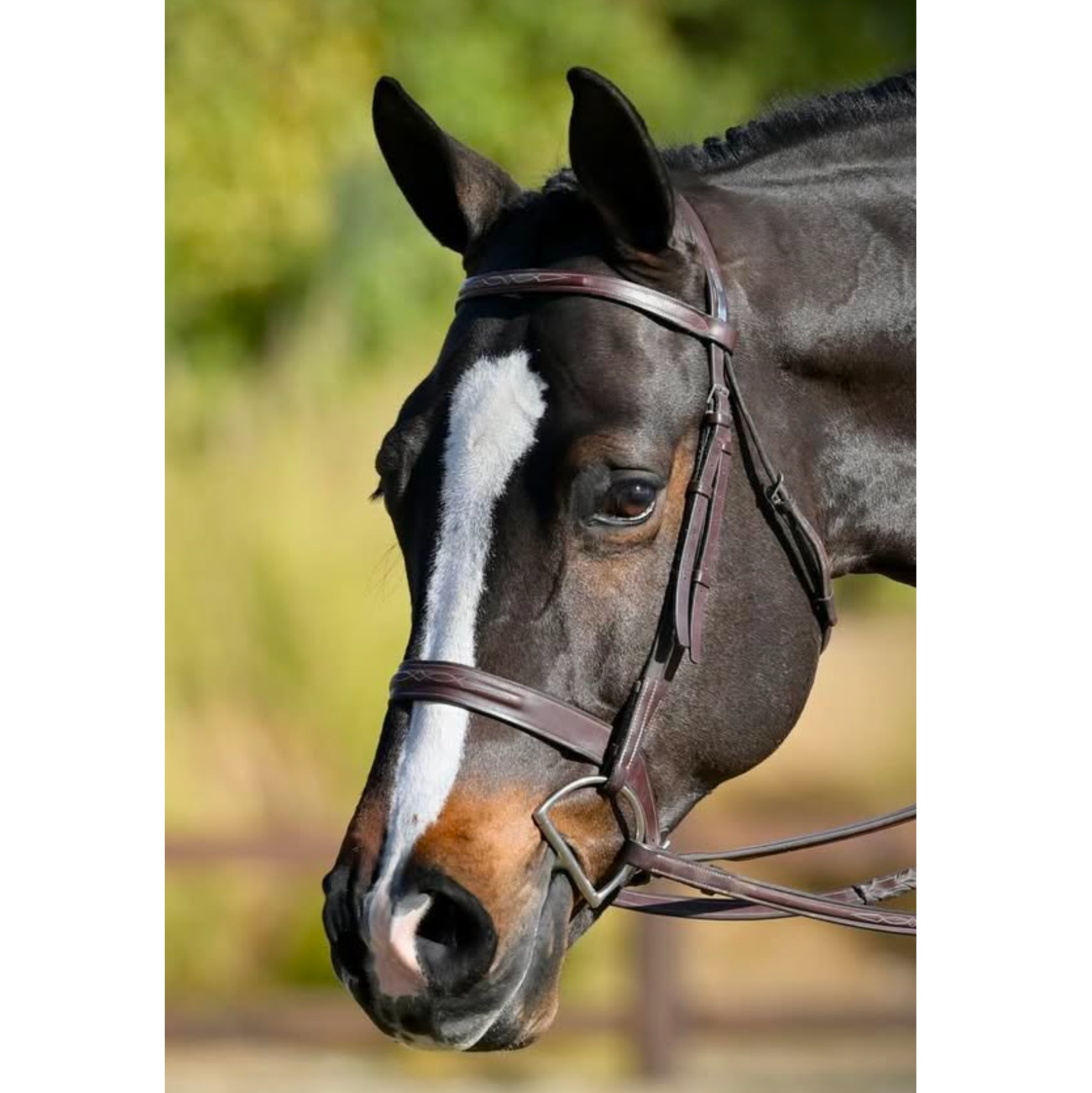 Horse|Man Single Stitch Bridle