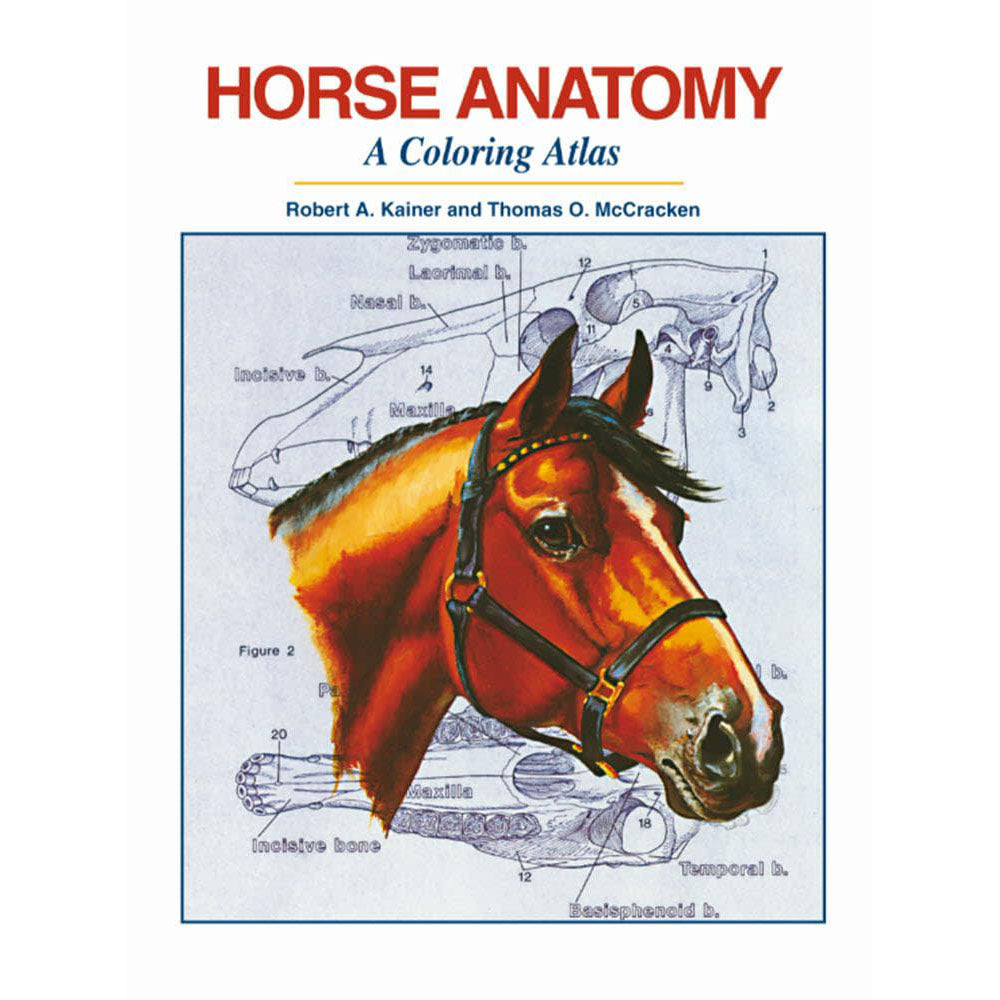 Horse Anatomy: A Coloring Atlas