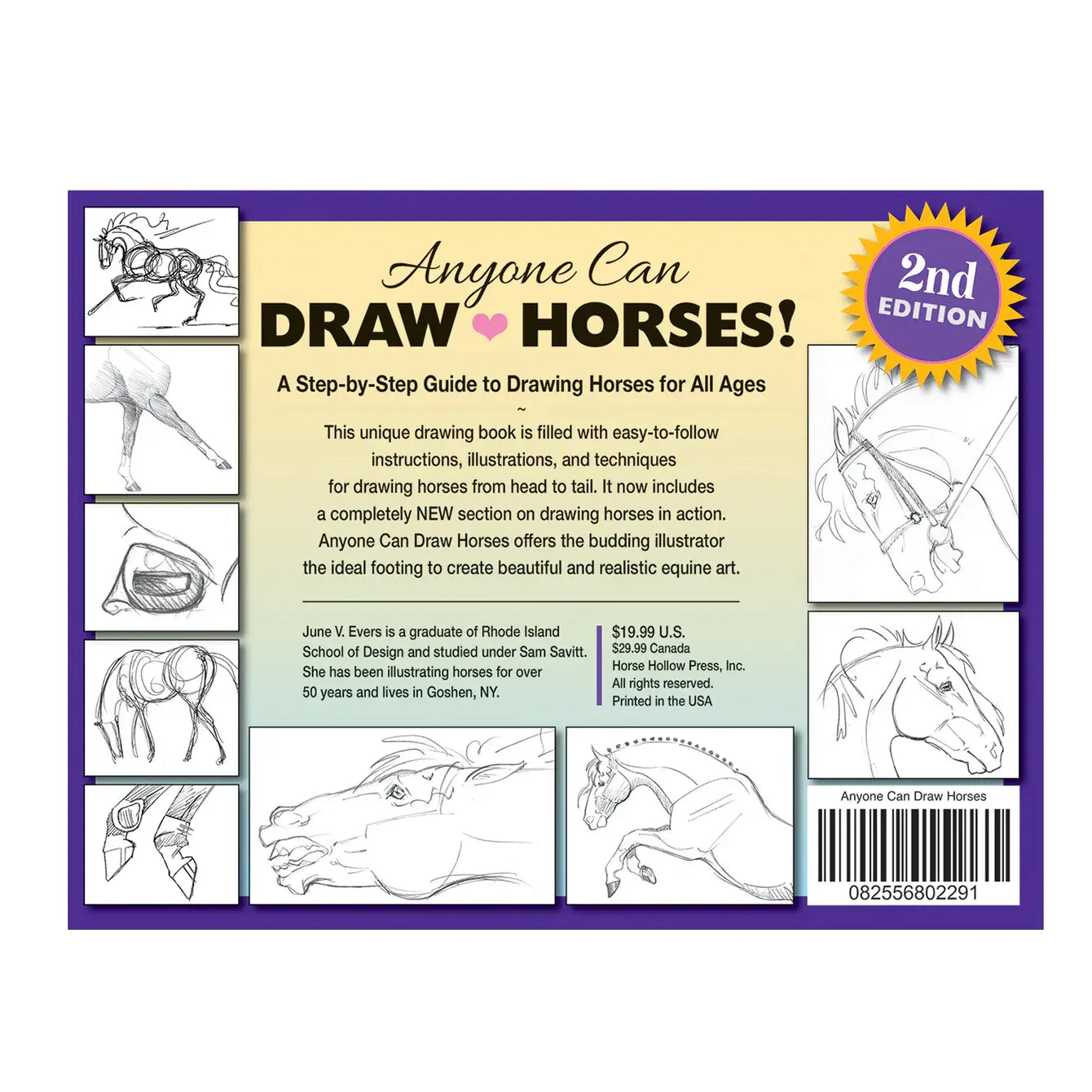 Anyone Can Draw Horses