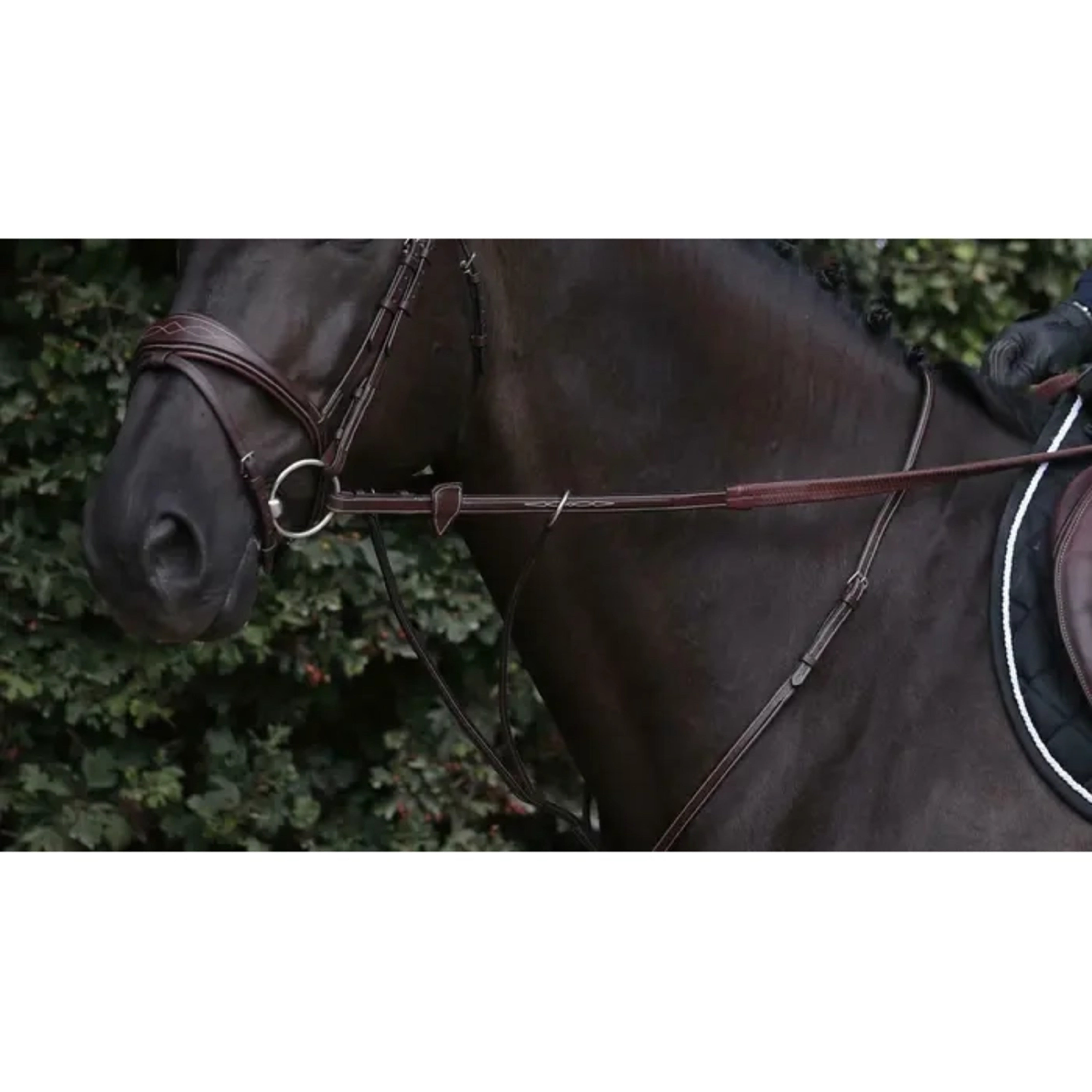 Dyon Rubber Reins