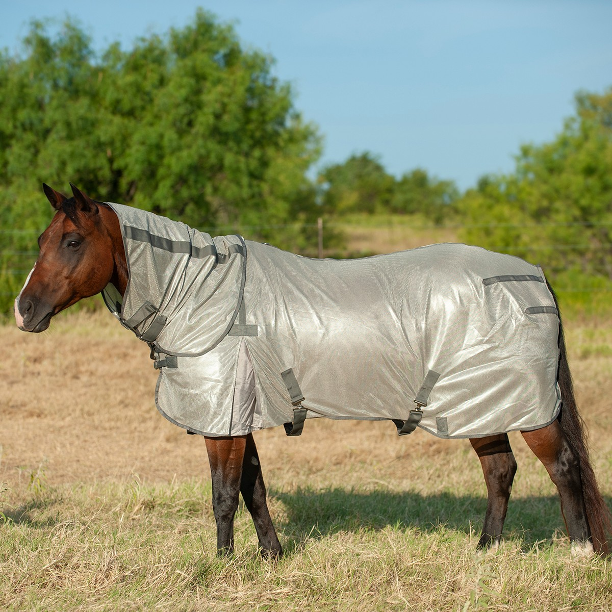 Cashel Econo Fly Sheet + Neck Guard