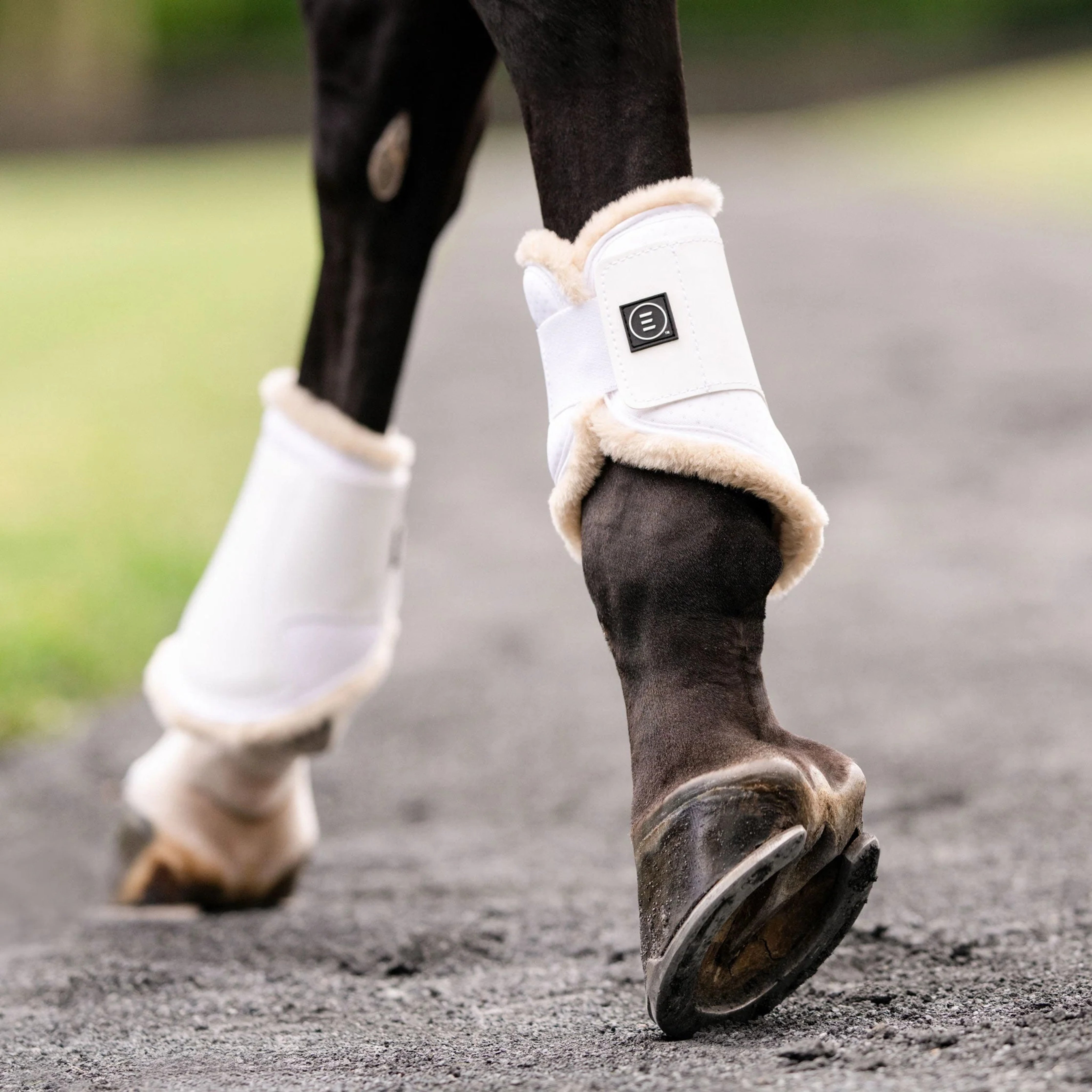EquiFit Everyday Hind Boot Vegan SheepsWool