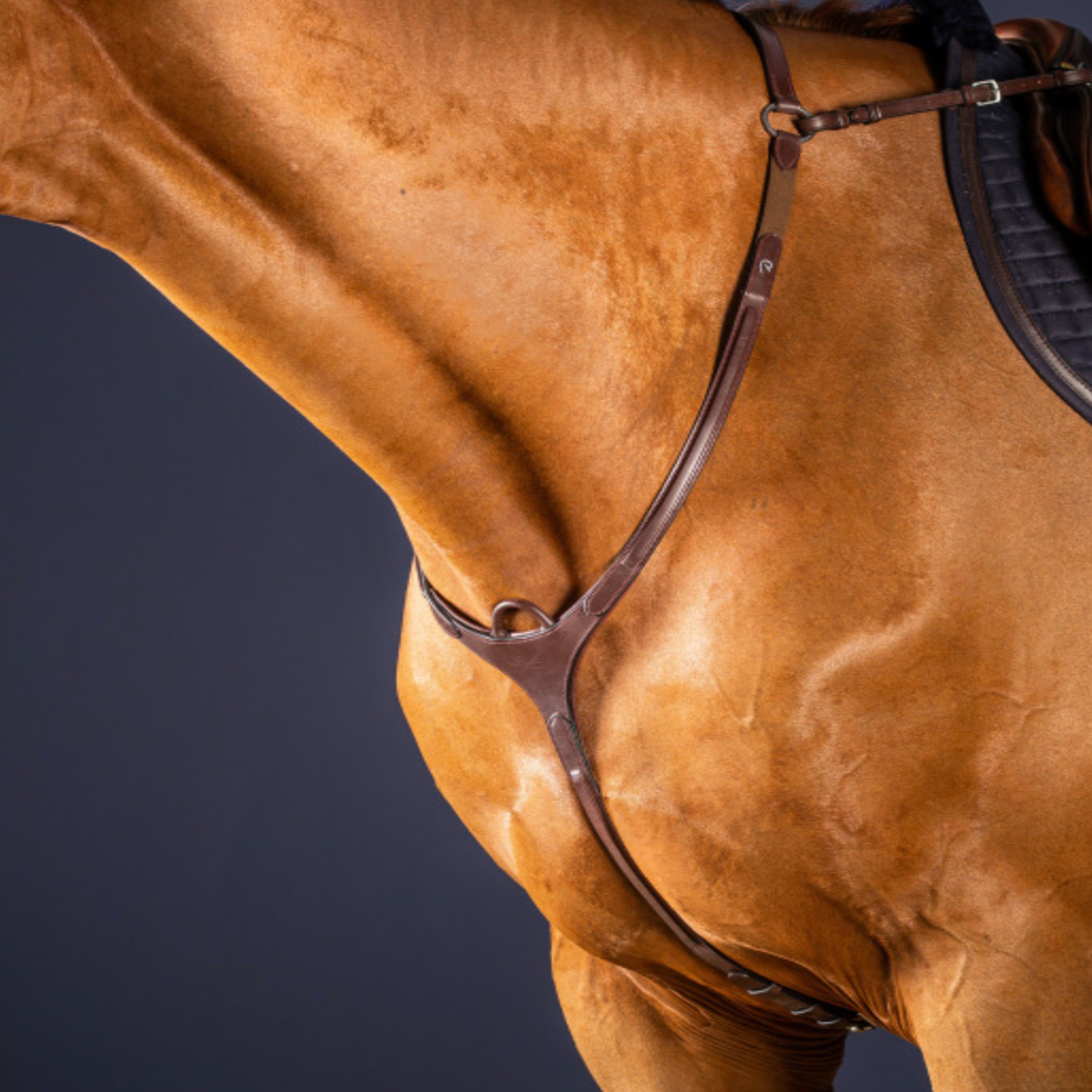 Dyon New English Breastplate w/ Bridge