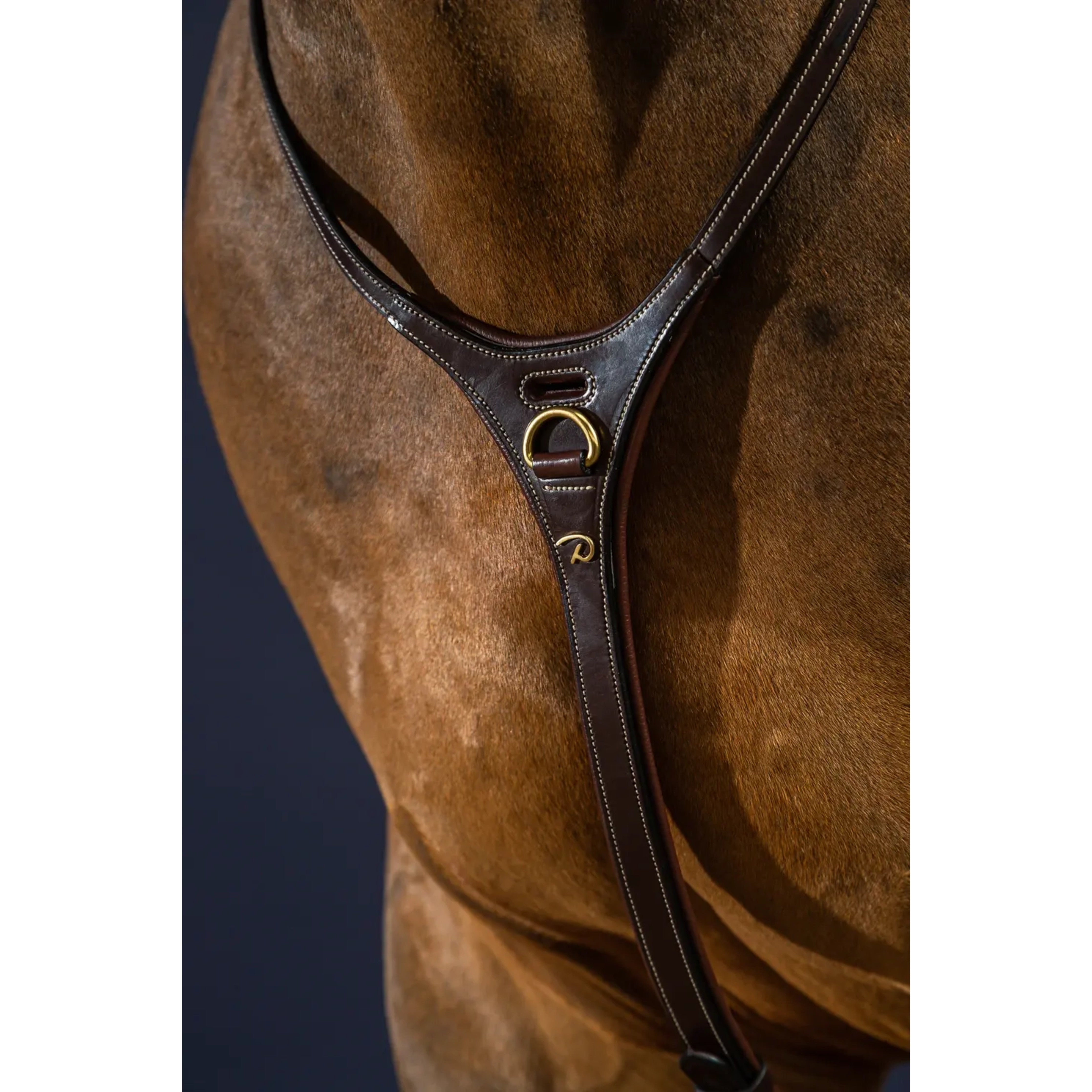 Dyon Yoke Martingale