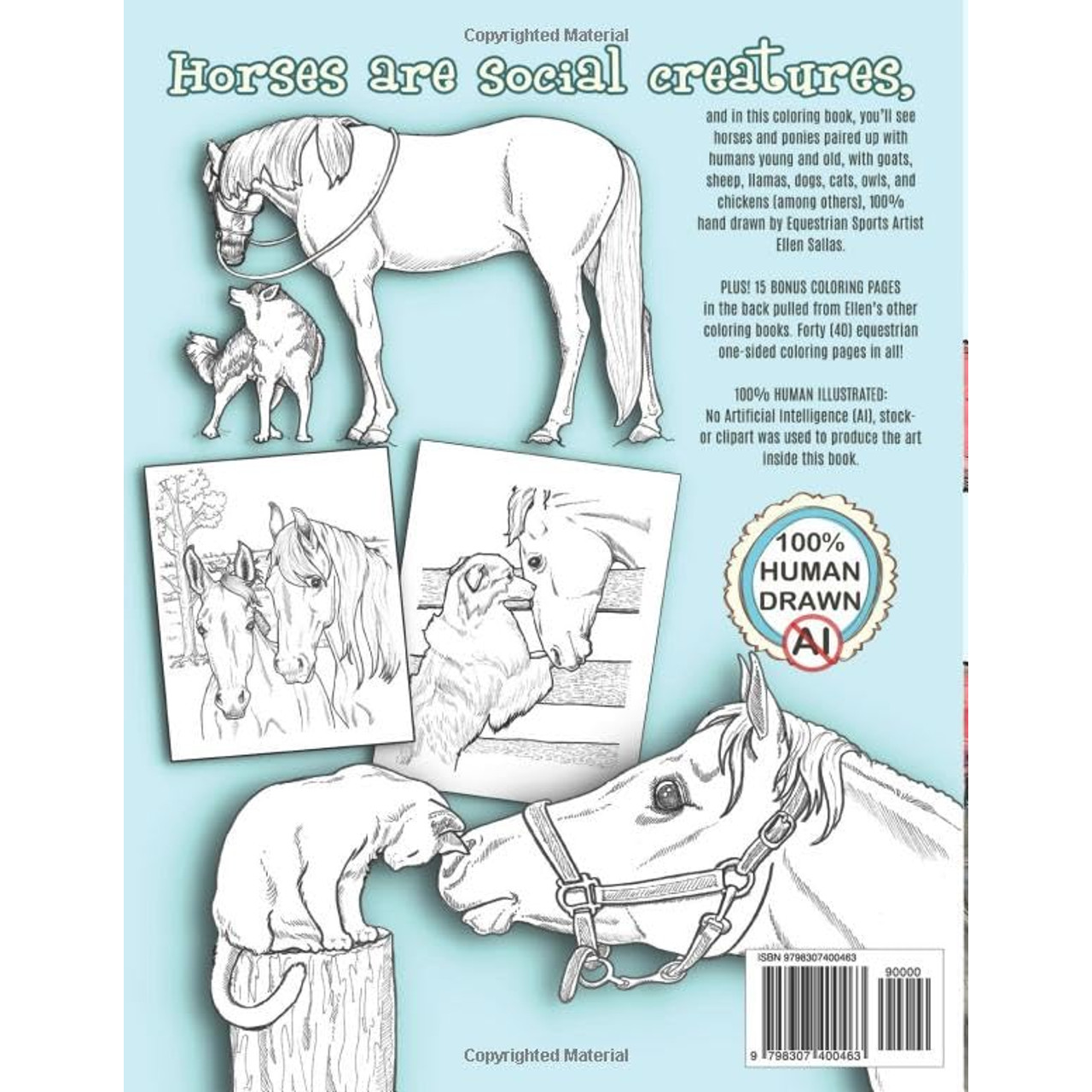 Horse Coloring Book