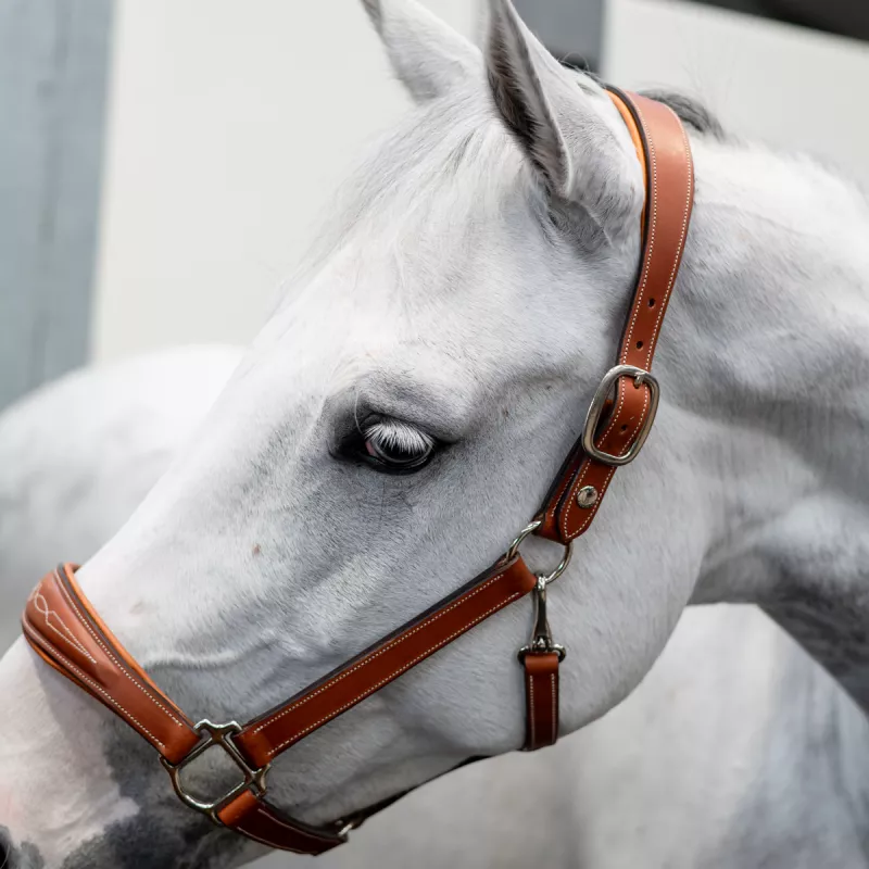 BUTET Leather Halter