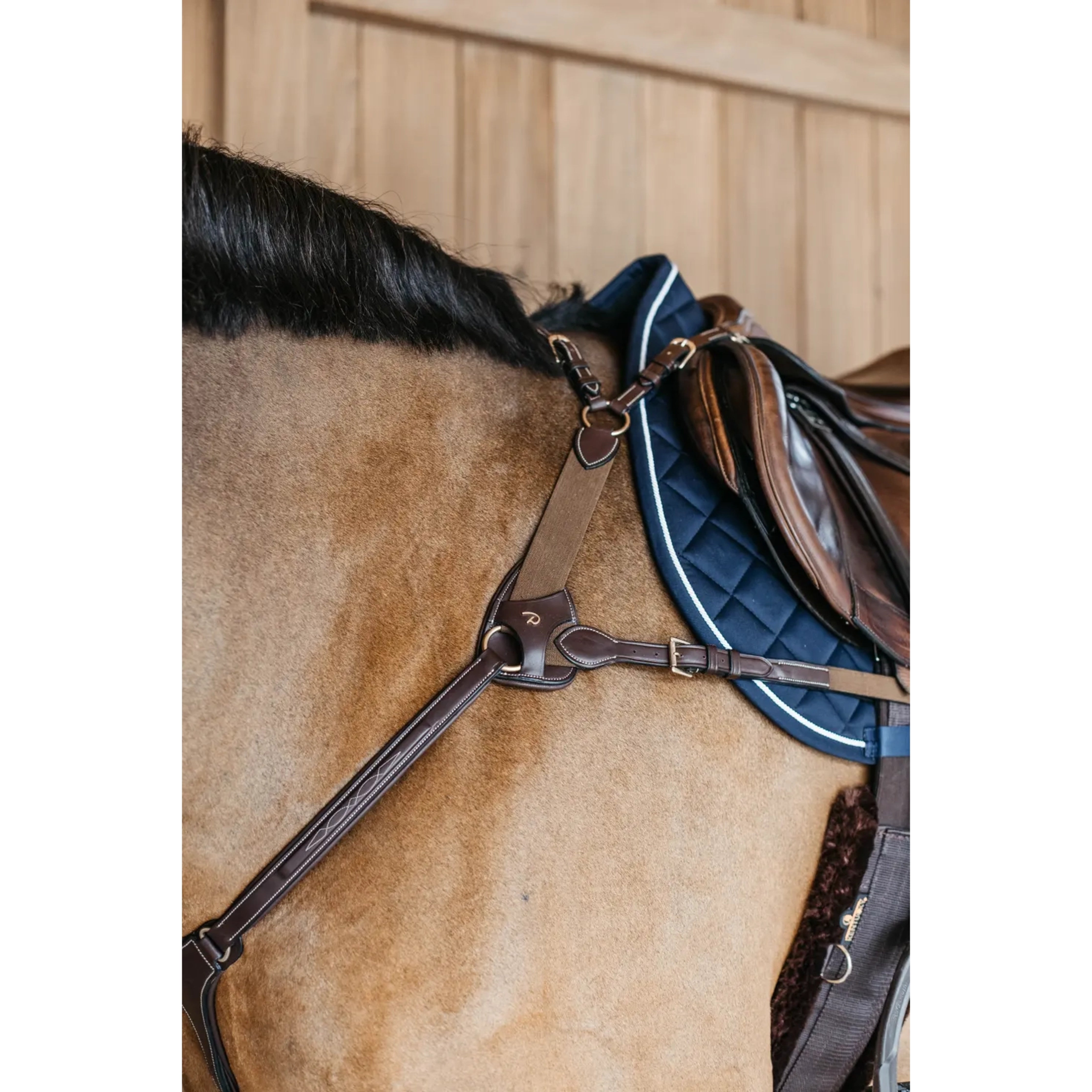 Dyon 5-Point Breastplate w/Elastic