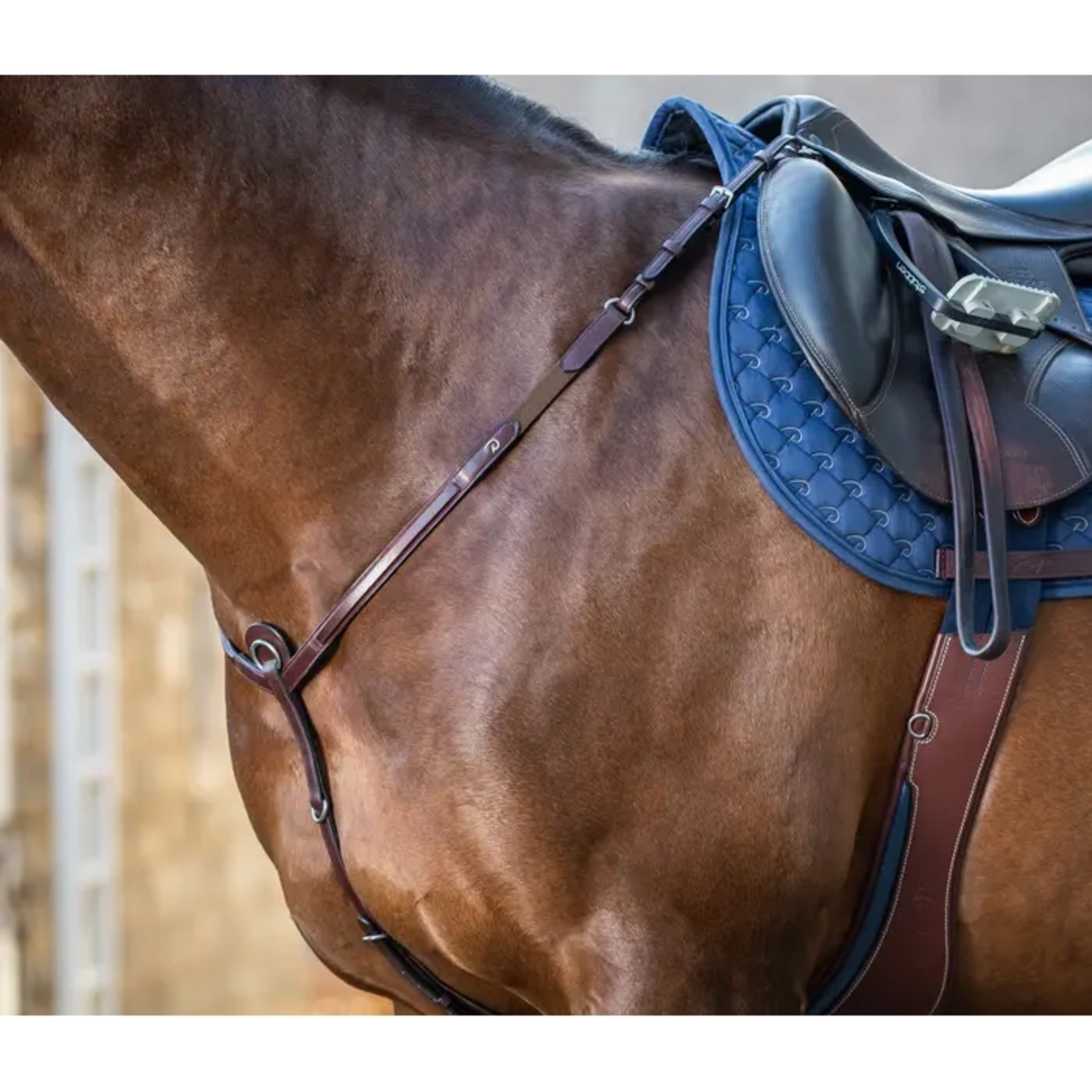 Dyon Breastplate Fancy Elastic