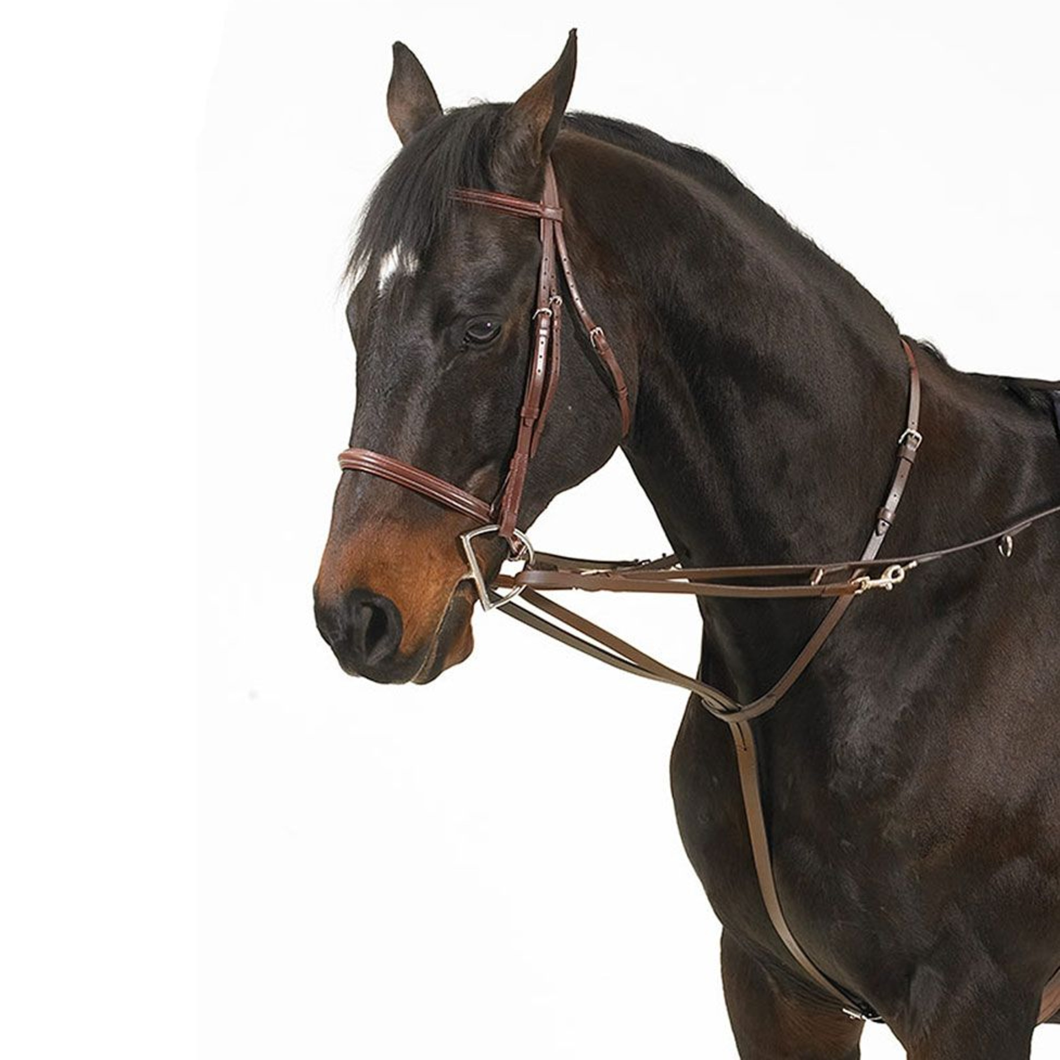 Camelot German Martingale Brown