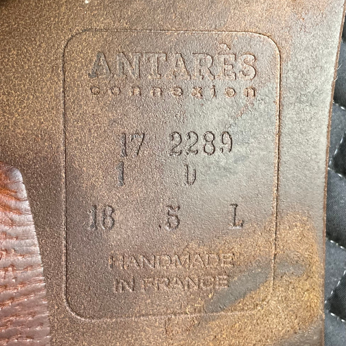 Antares Connexion Saddle 16.5" 1D