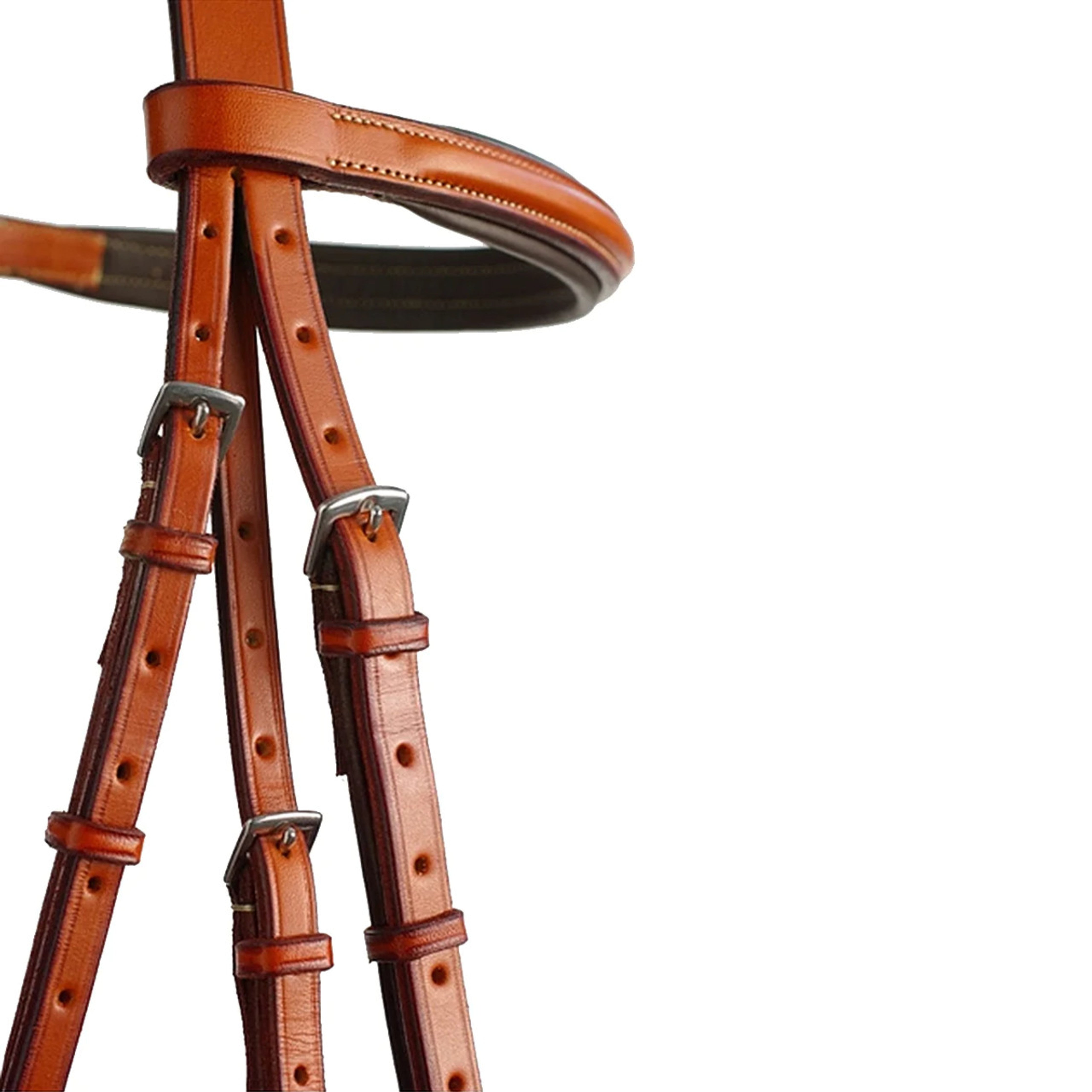 Edgewood Deluxe Padded 1" Bridle