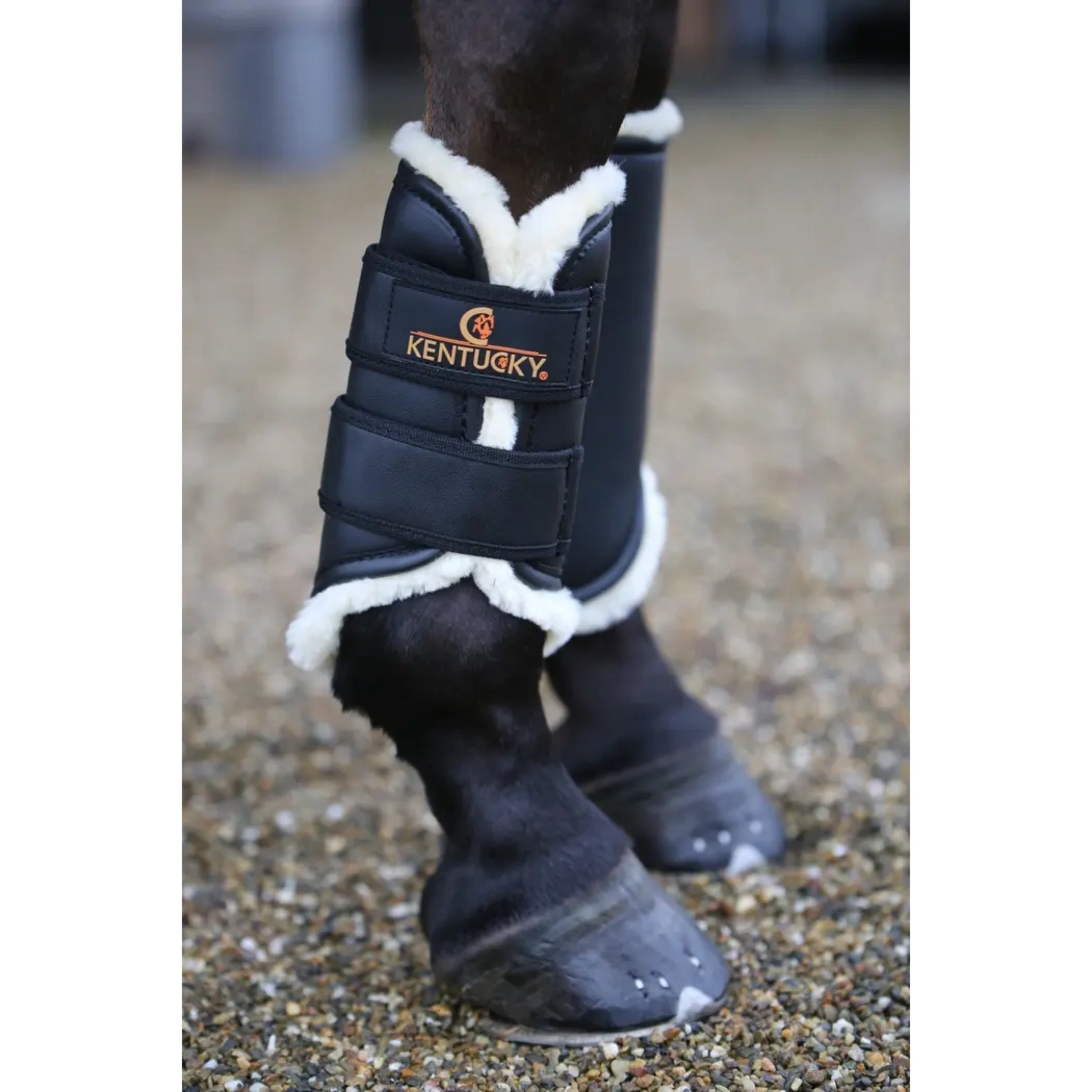 Kentucky Turnout Boots Front