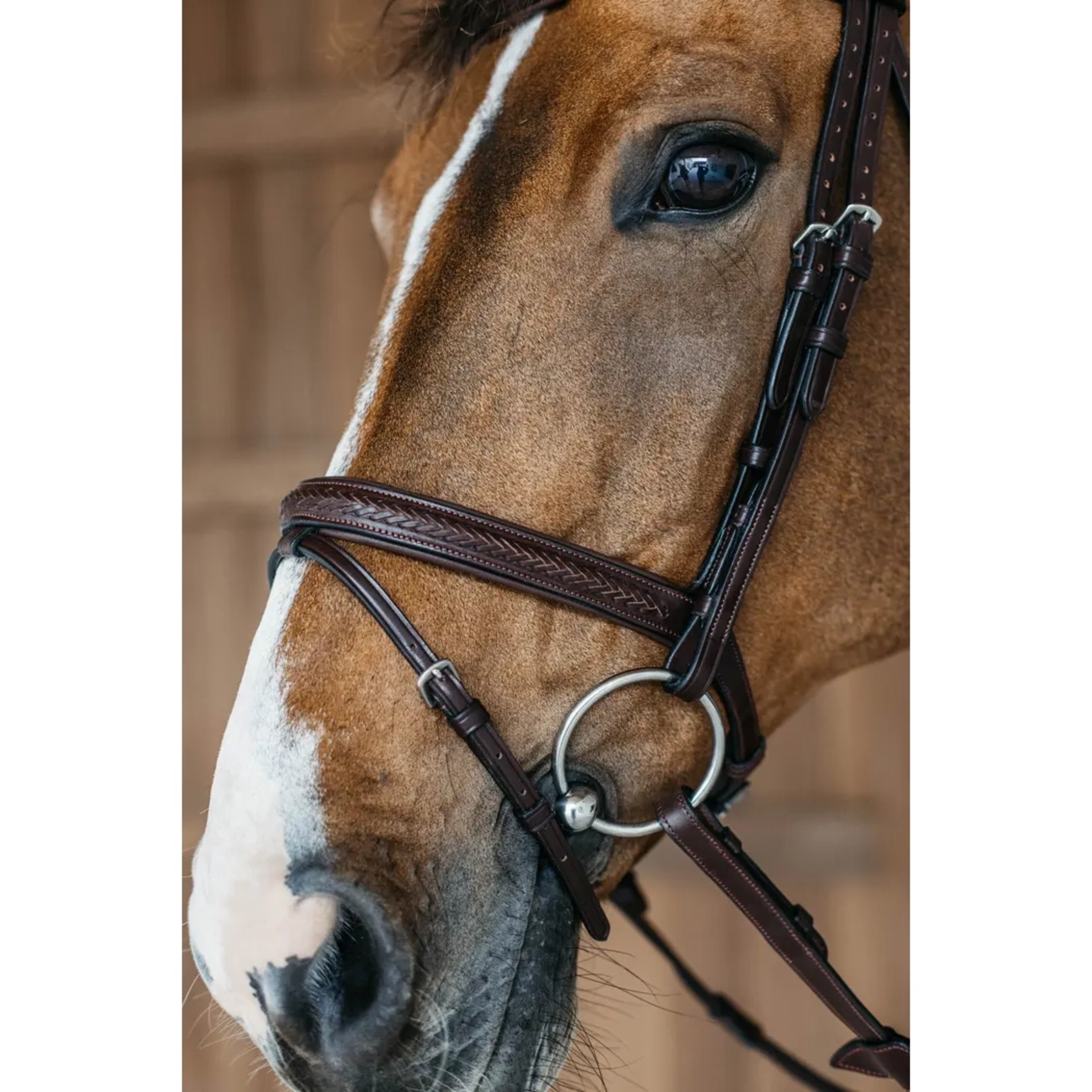 Dyon Plaited Bridle w/ Flash