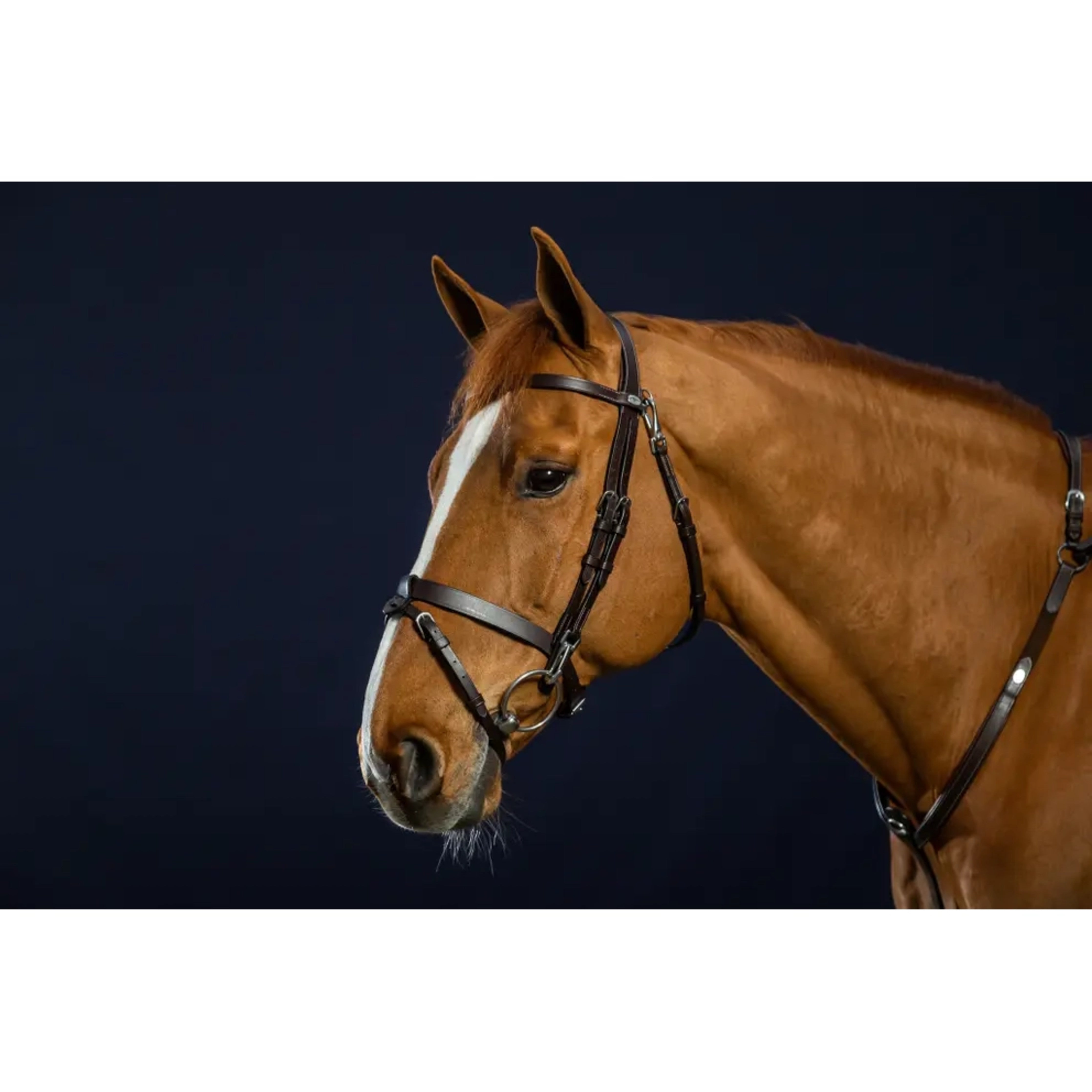 Dyon Working Flash Bridle w/Snaps