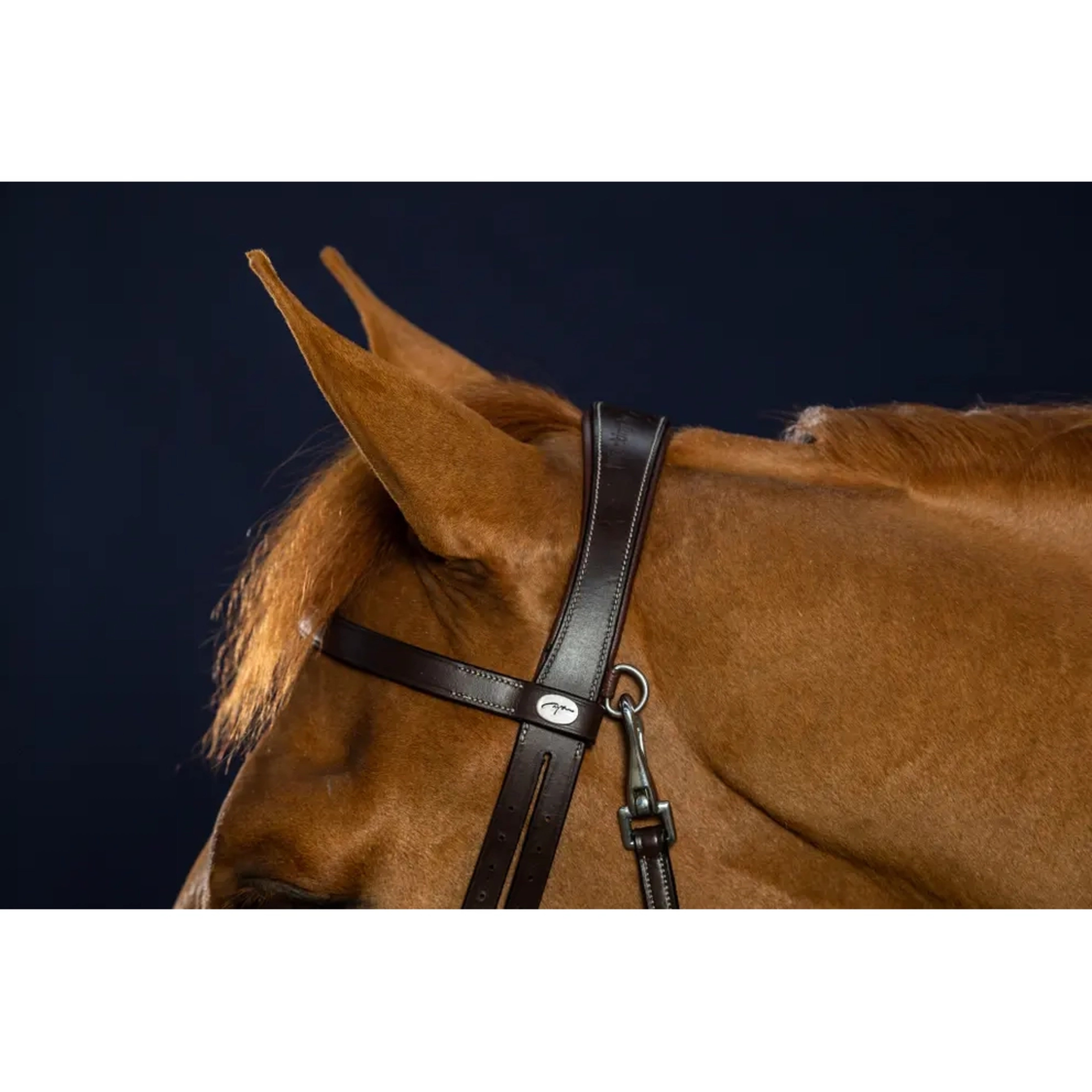 Dyon Working Flash Bridle w/Snaps