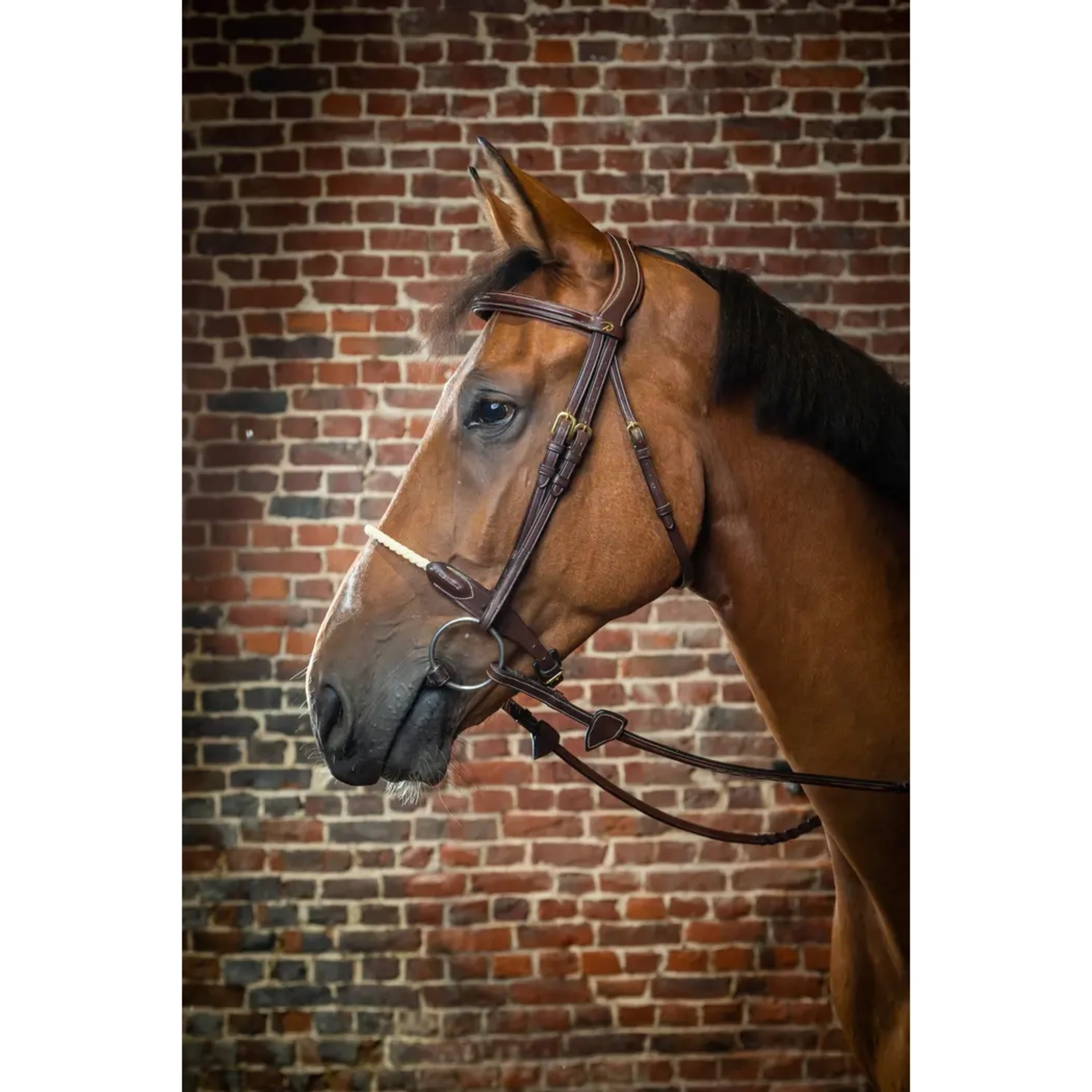 Dyon Rope Nose Bridle