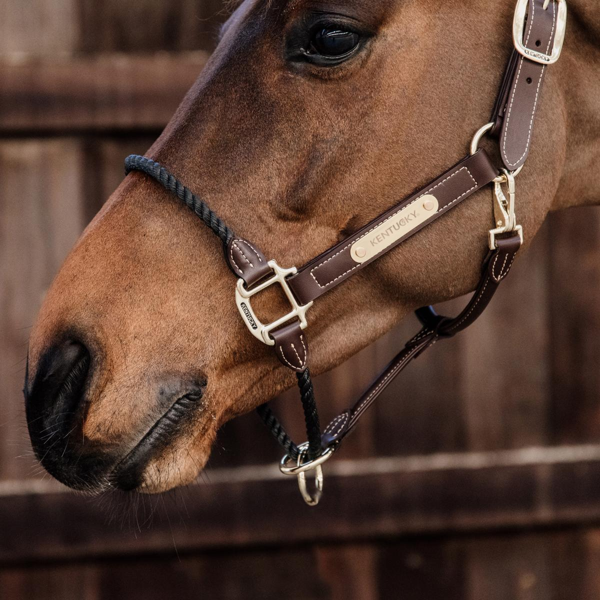 Kentucky Vegan Leather + Rope Halter