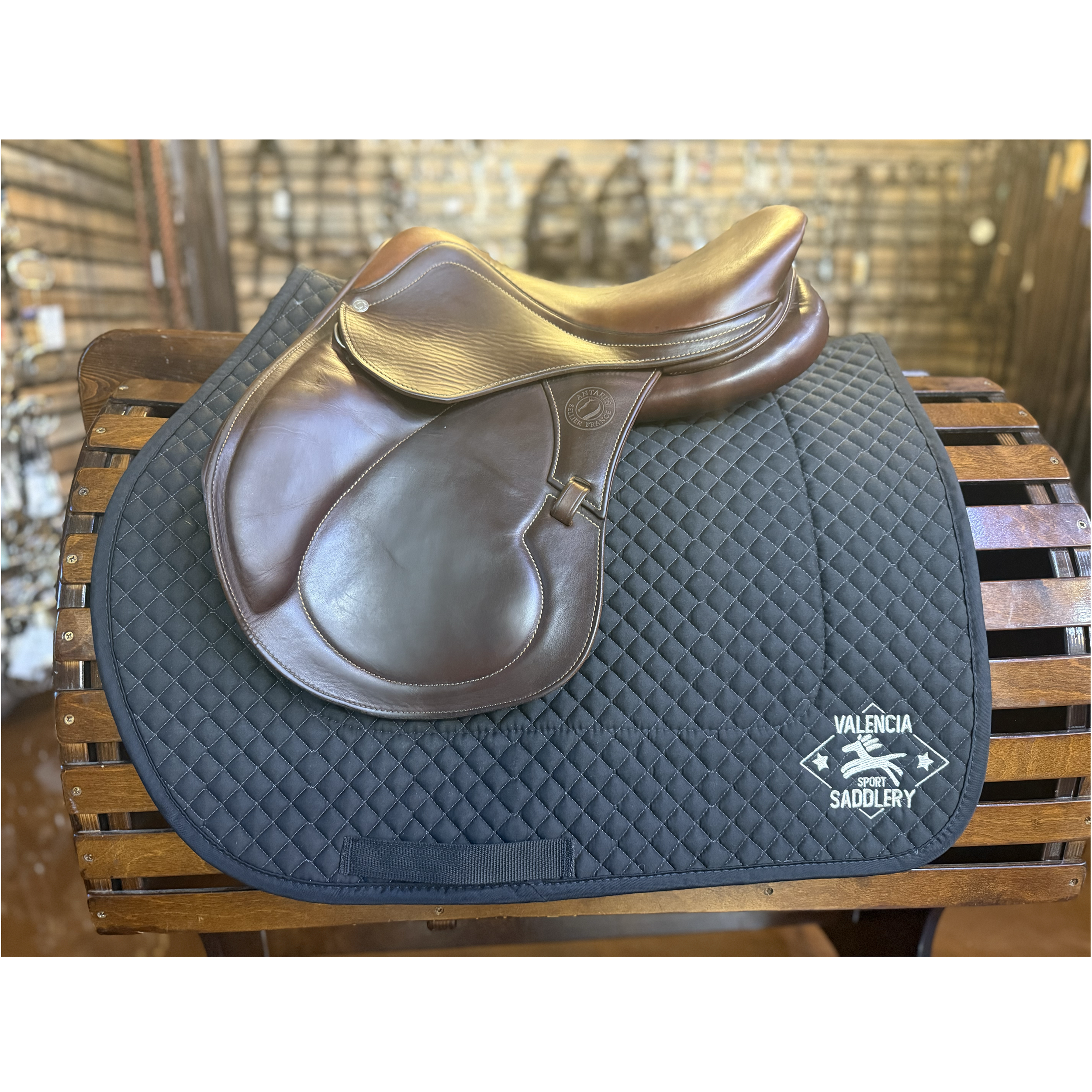 Antares Saddle 15.5" XXS