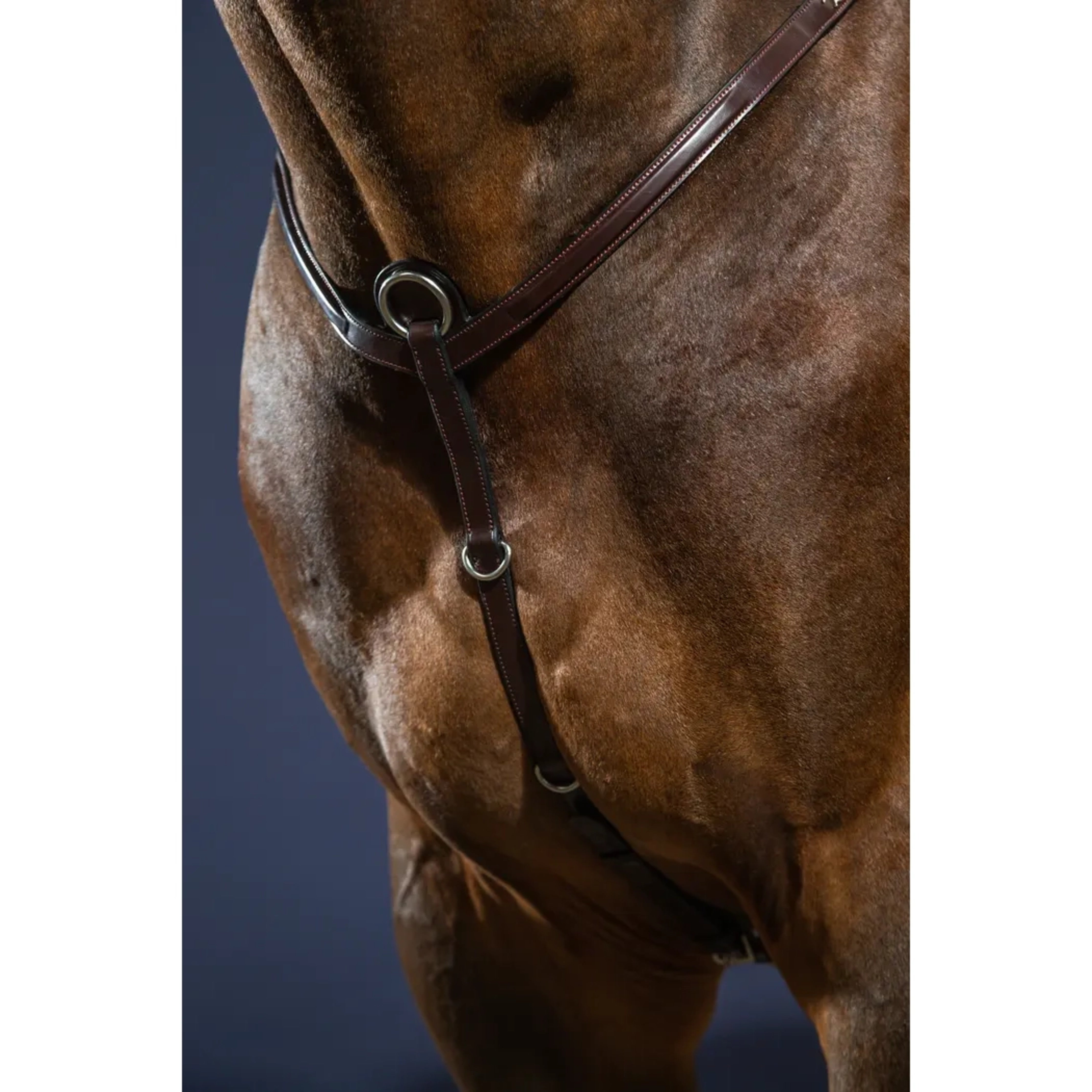 Dyon Breastplate Fancy Elastic
