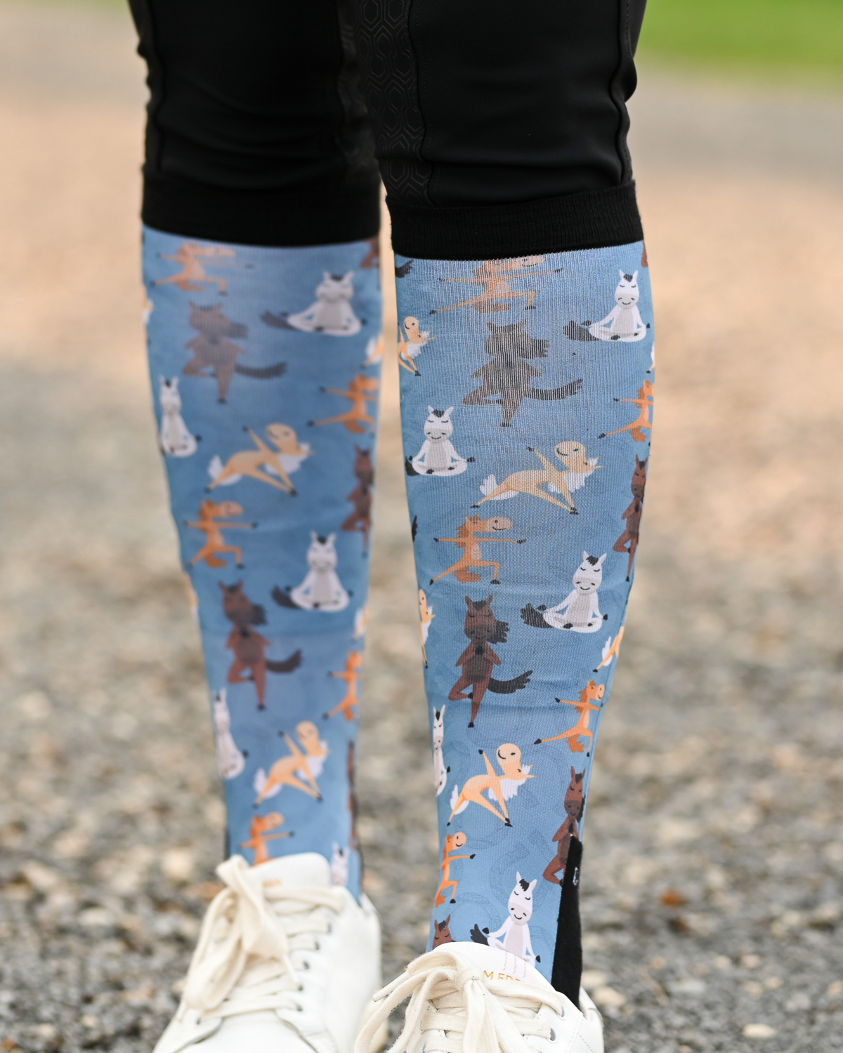 Dreamers & Schemers Socks pair & spare
