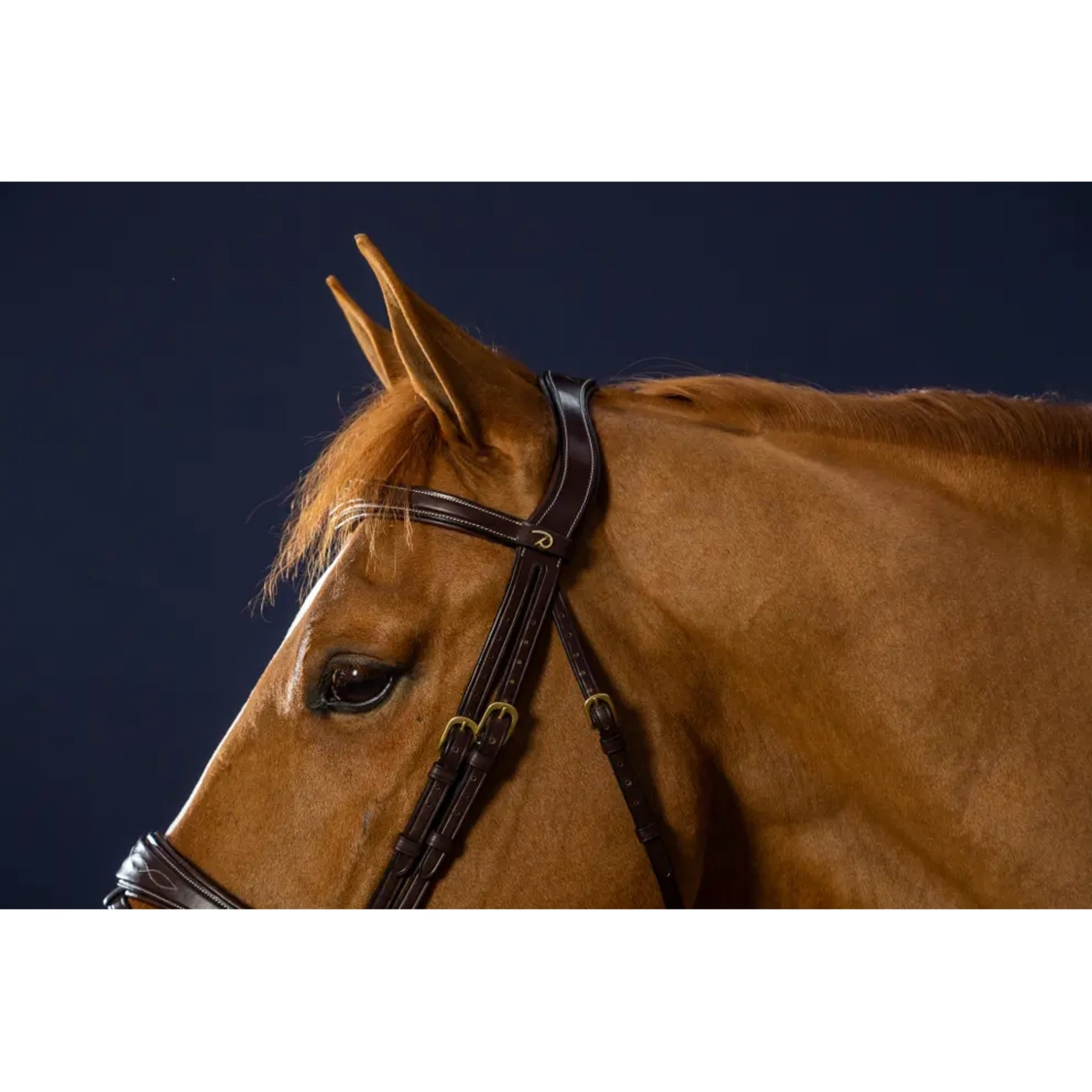 Dyon Anatomic Signature Bridle w/Flash