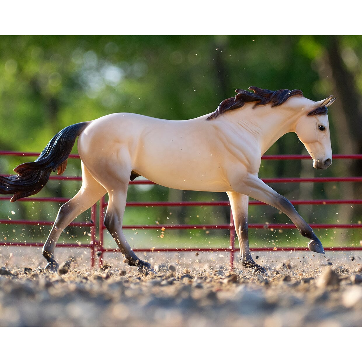 Breyer Cash