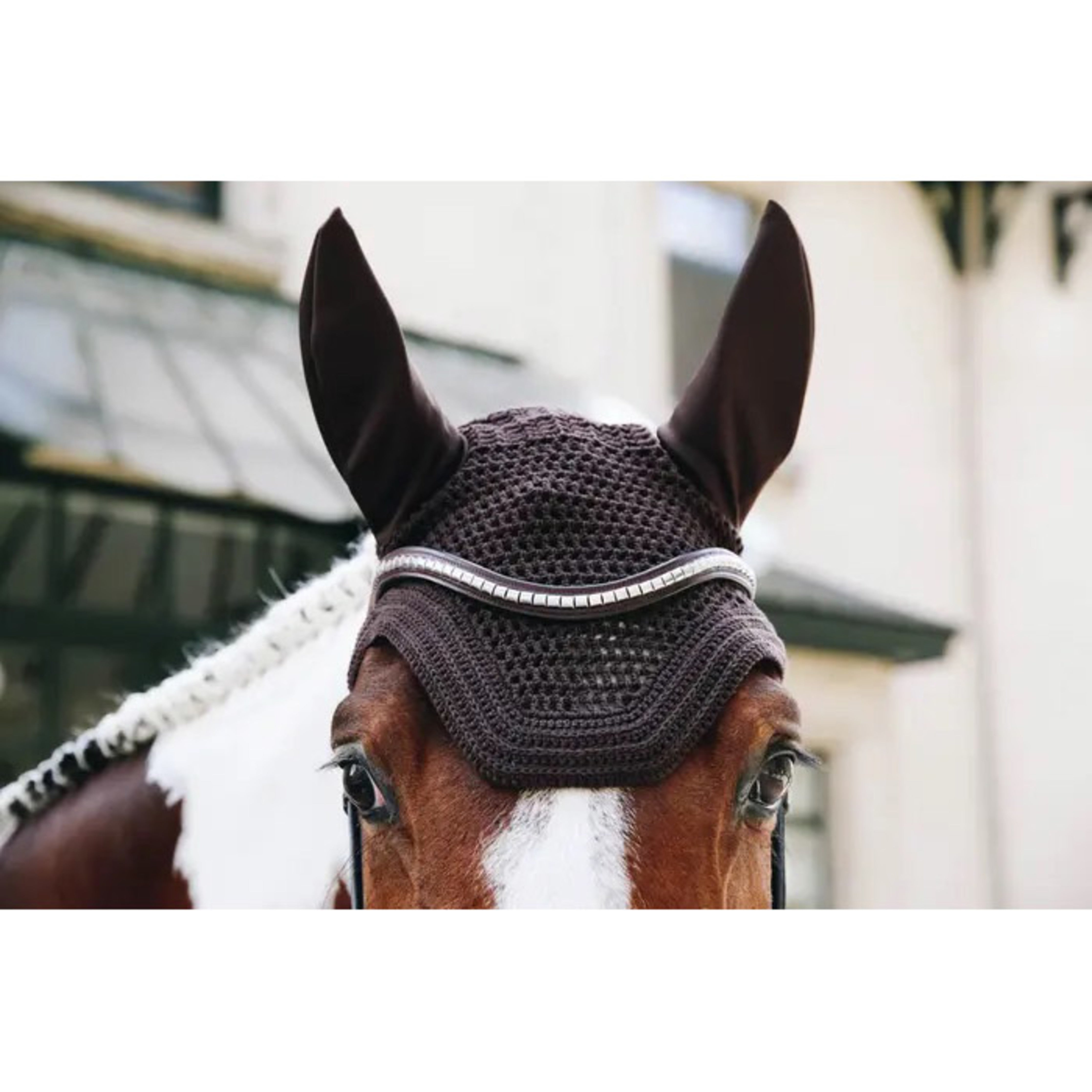 Kentucky Fly Veil Wellington Simple