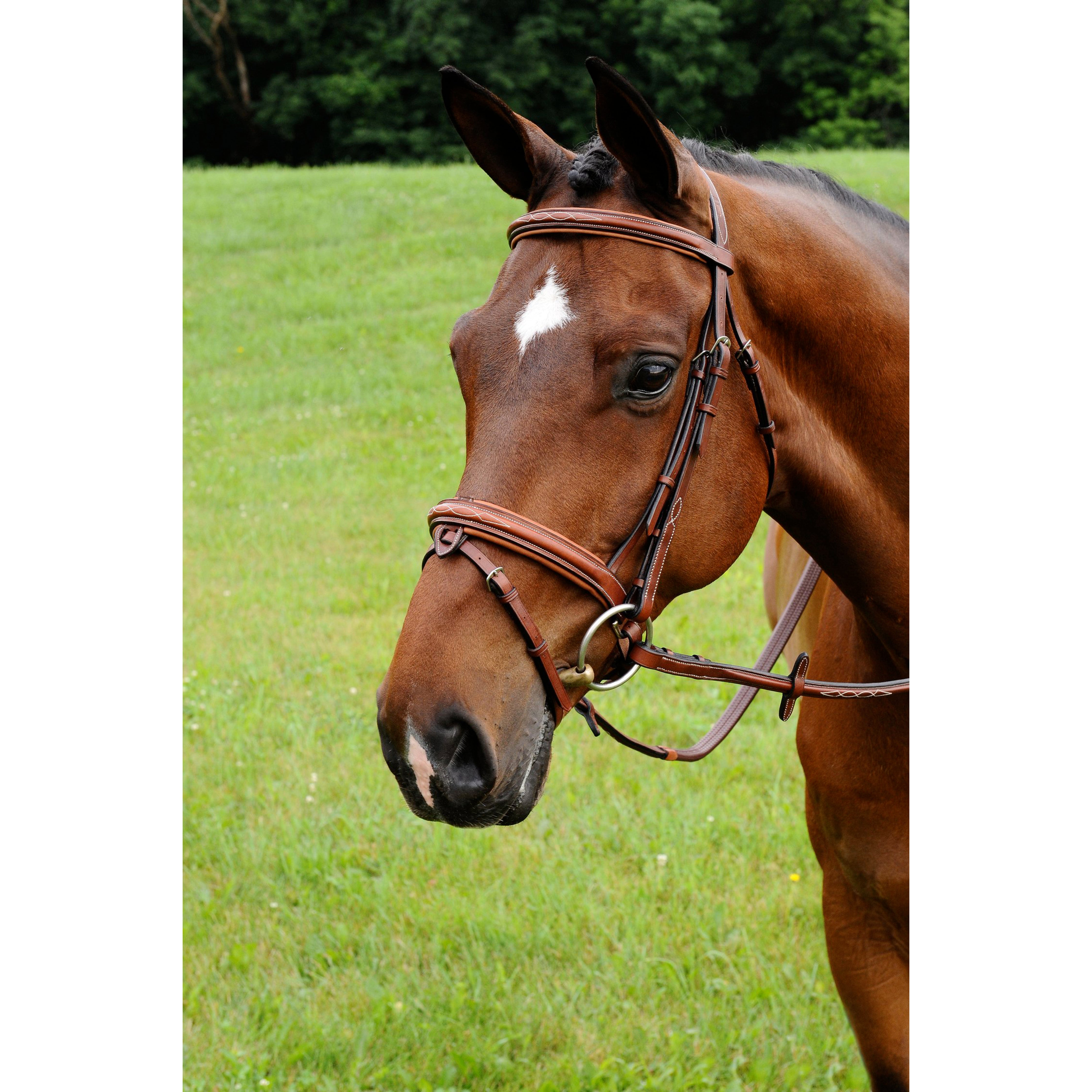 Arc de Triomphe Starman Crank + Flash Bridle w/Rubber Reins