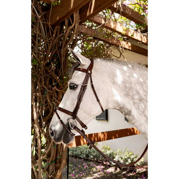 BUTET Sport Combined Bridle w/ Flash