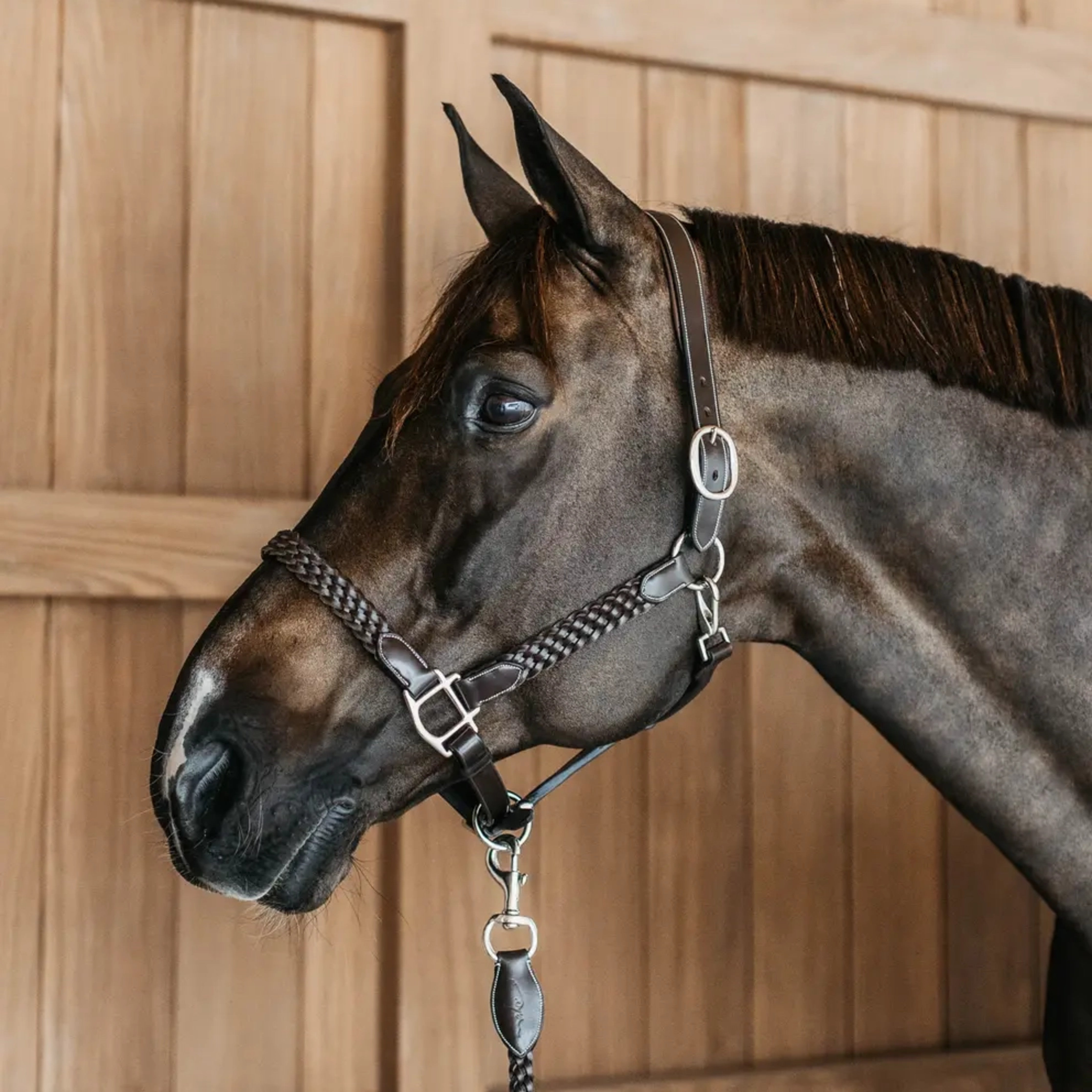 Dyon Plaited Leather Halter