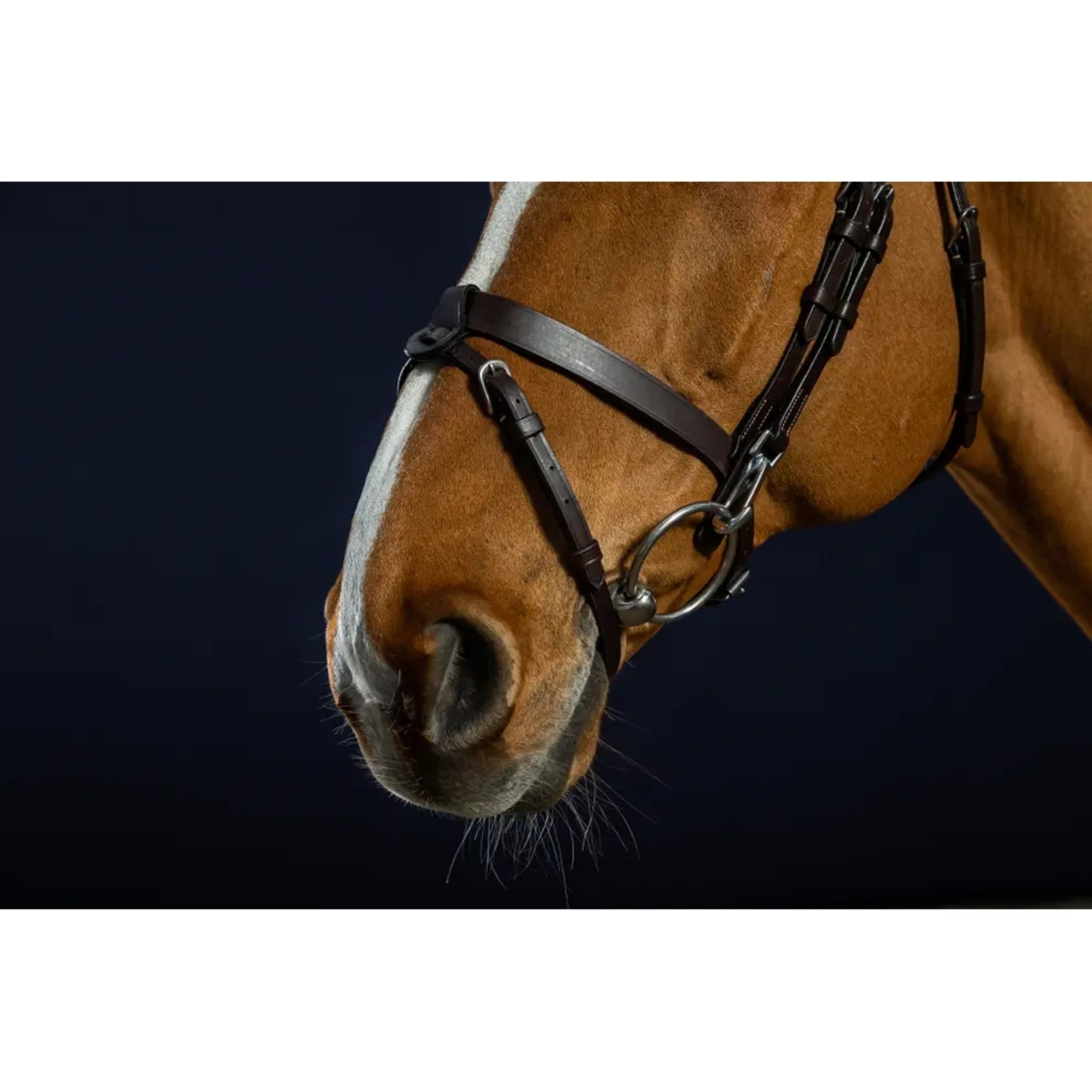 Dyon Working Flash Bridle w/Snaps