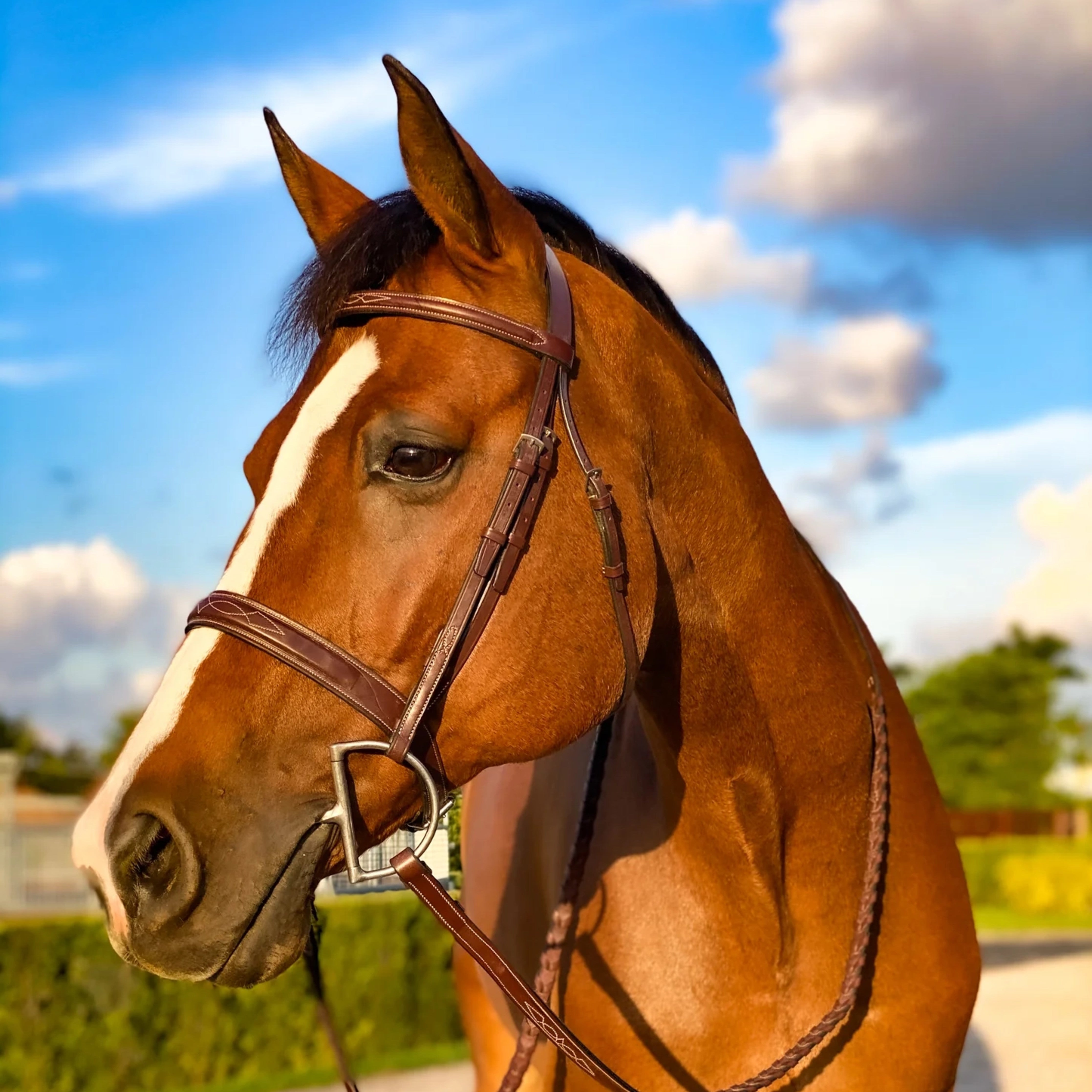 Heritage Wide Fancy Bridle