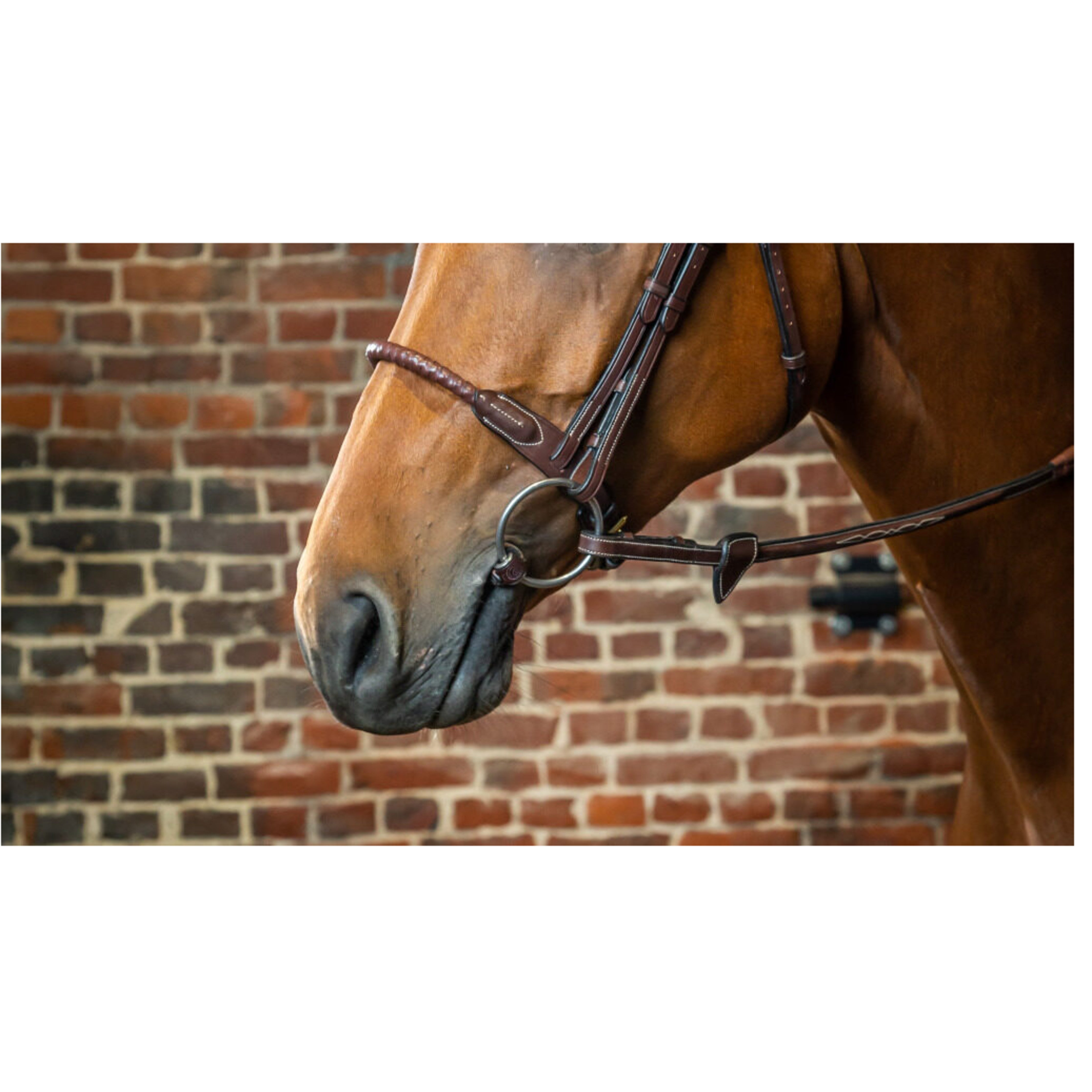 Dyon Leather Covered Rope Noseband