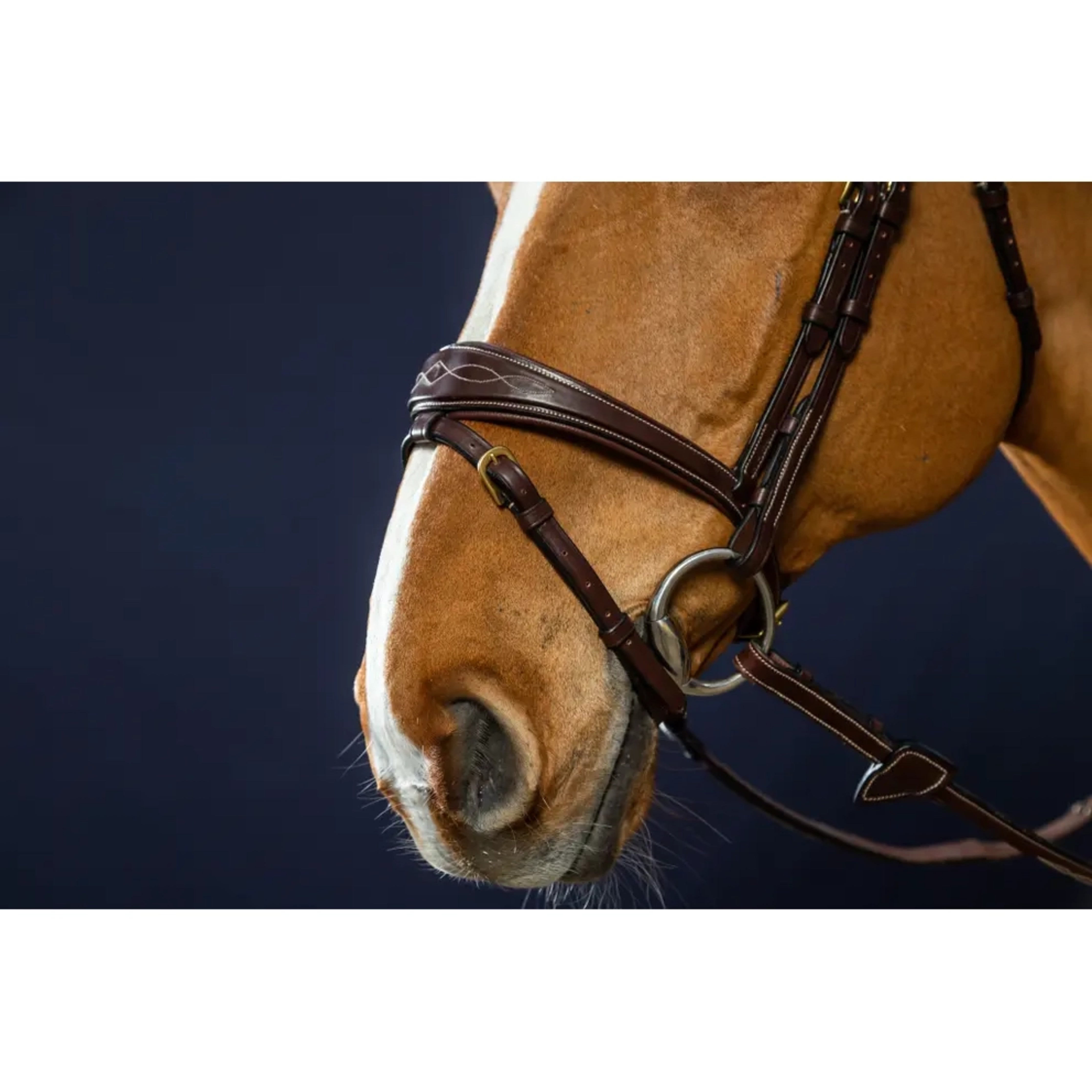 Dyon Anatomic Signature Bridle w/Flash
