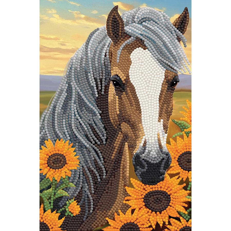 Crystal Art® Notebook Kit: Sunflower Horse