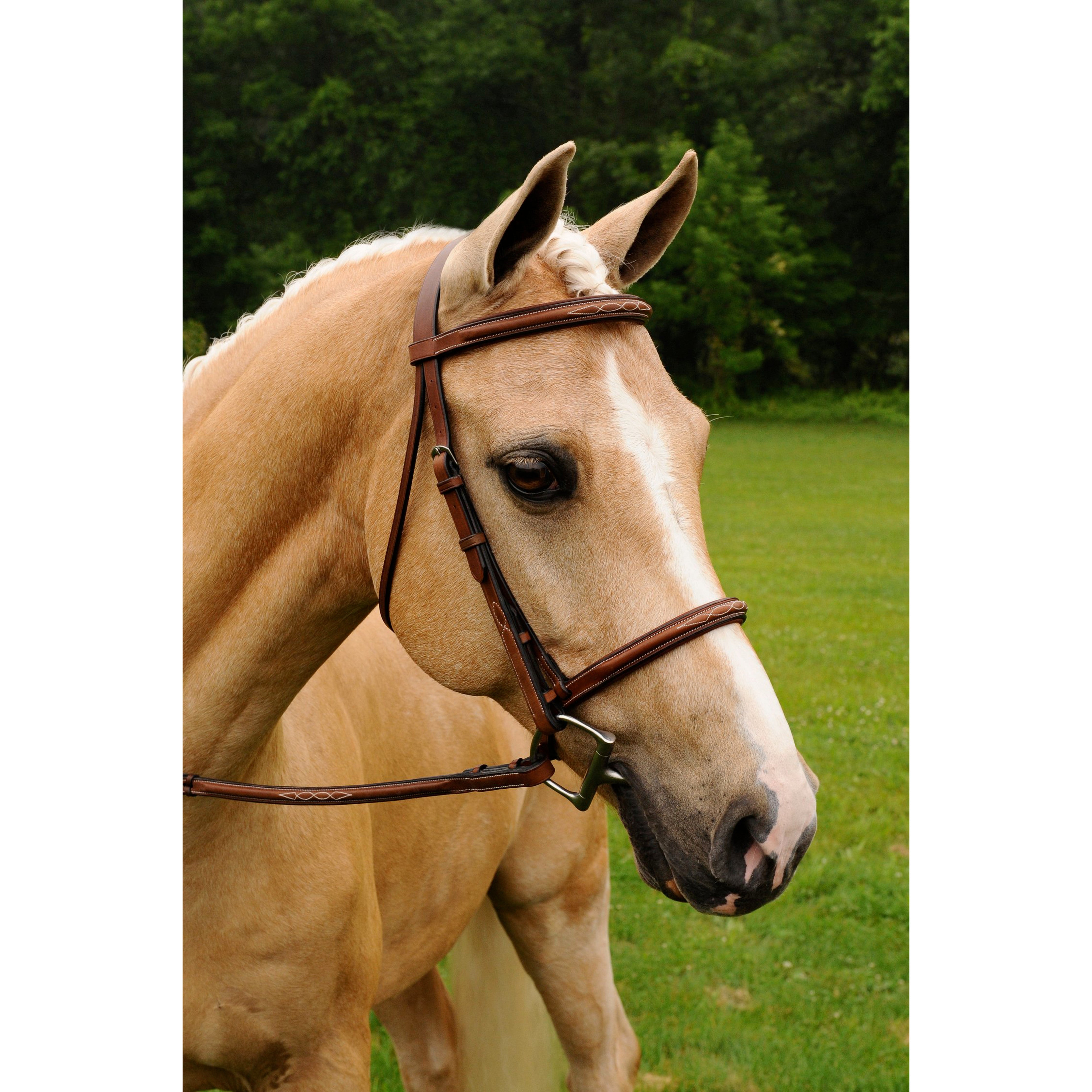 Arc de Triomphe Imperial Padded Bridle