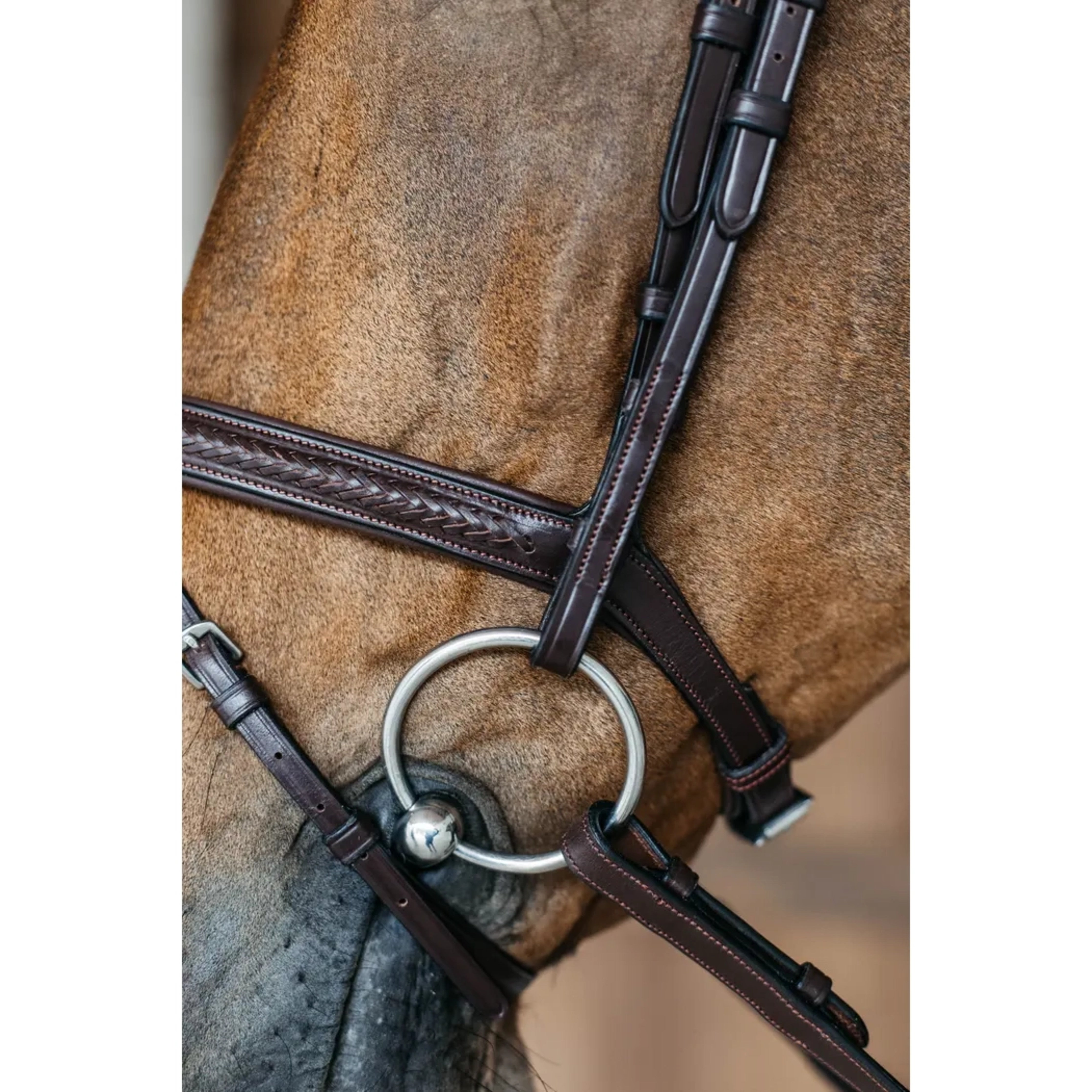 Dyon Plaited Bridle w/ Flash