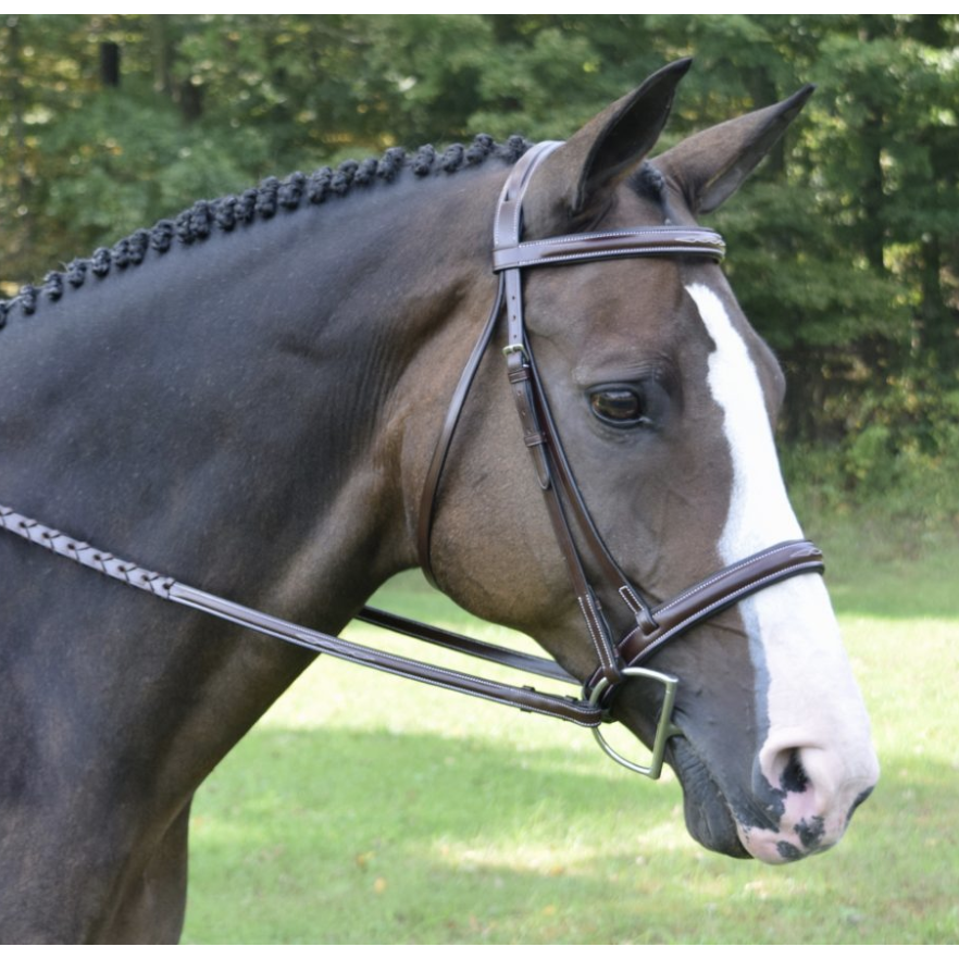 Red Barn Spirit Wide Nose Bridle