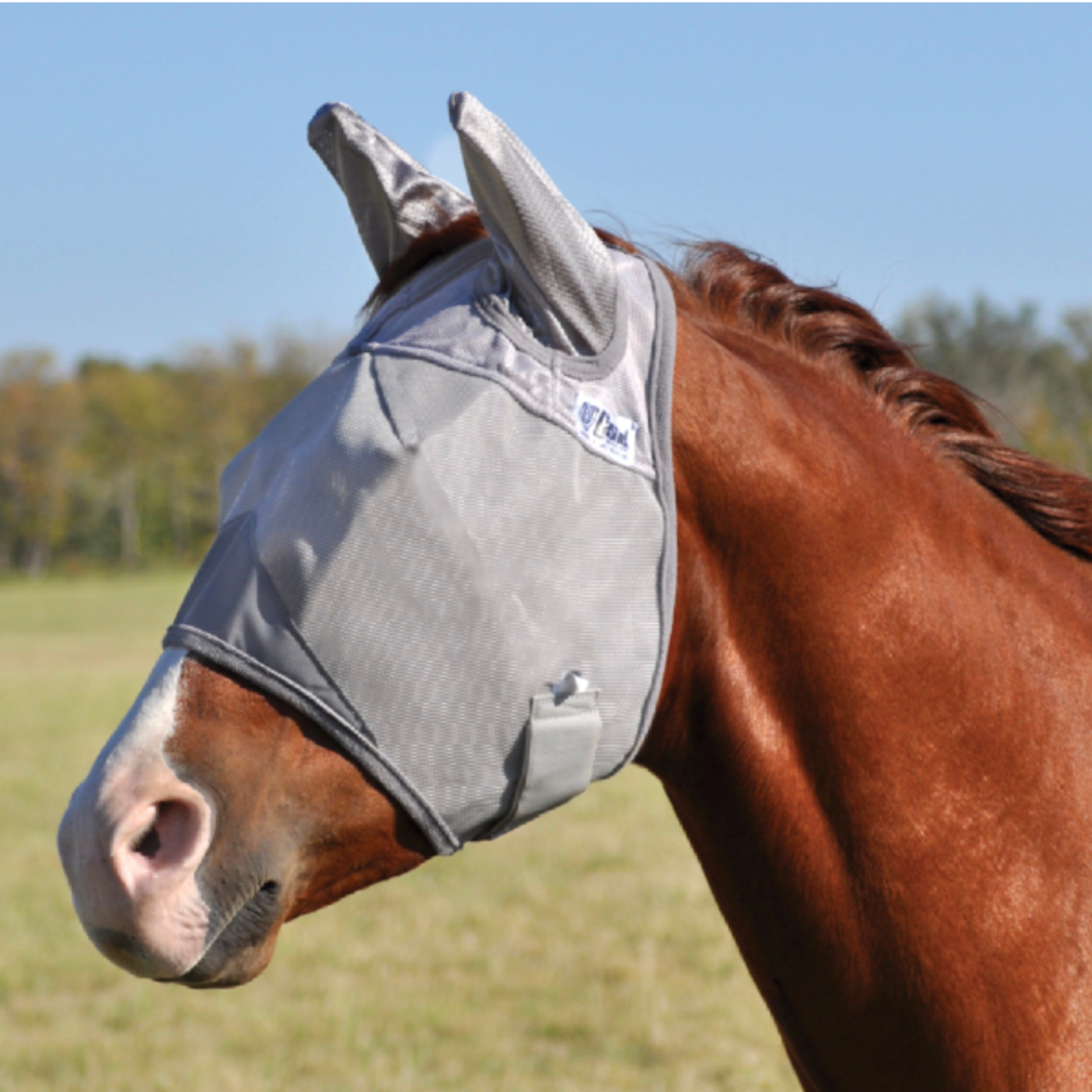 Cashel Crusader Flymask w/Ears