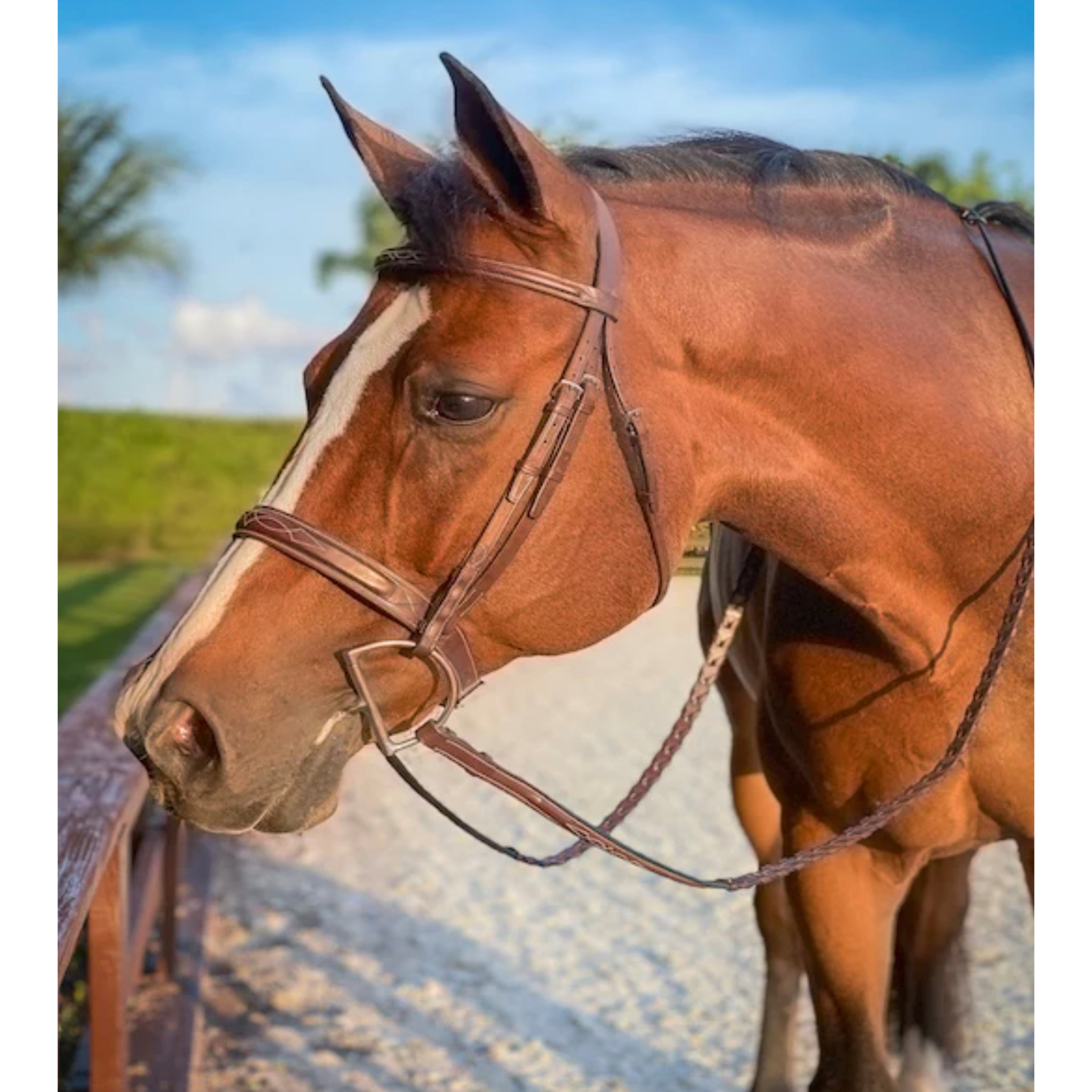 Heritage Wide Fancy Bridle