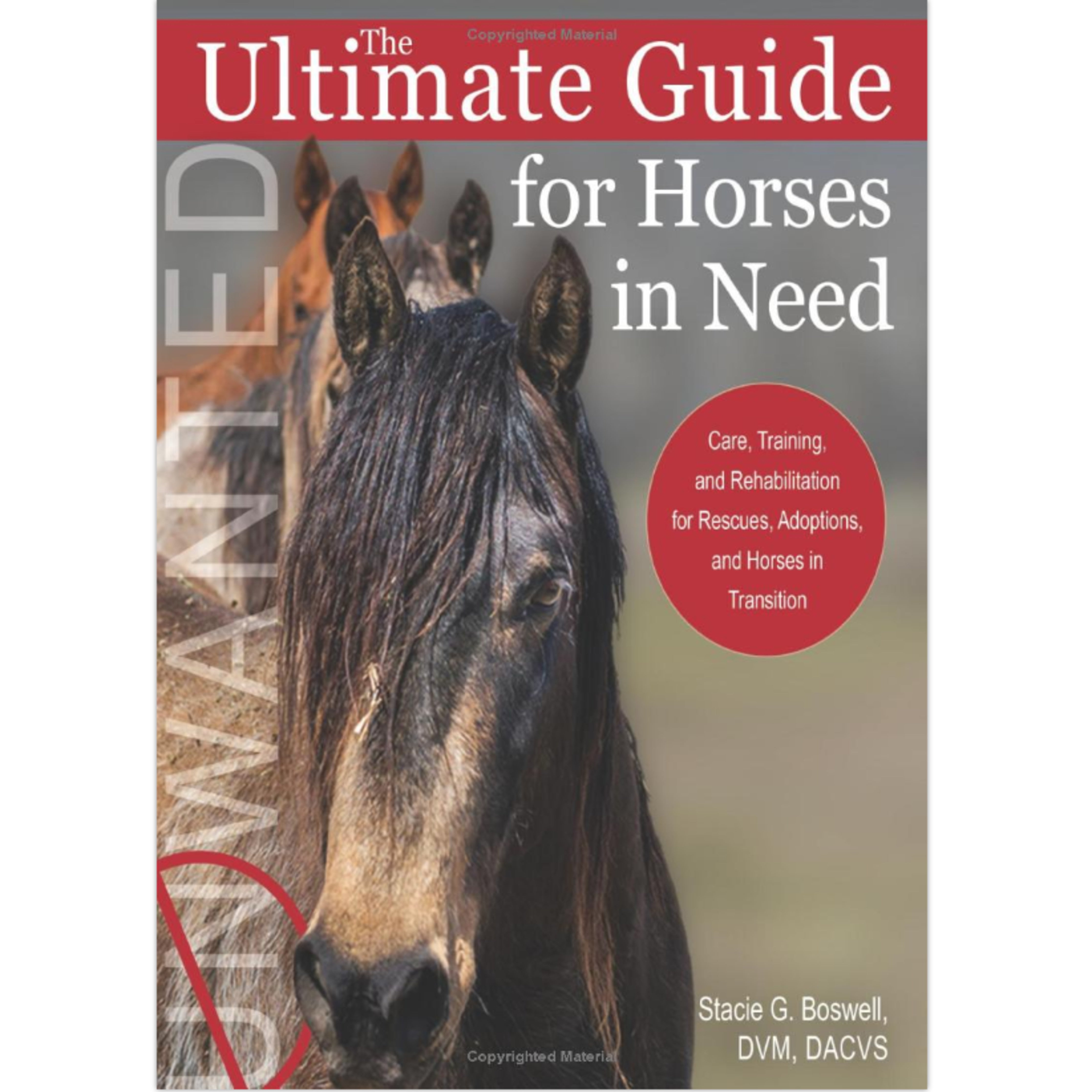 Ultimate Guide for Horses in Need