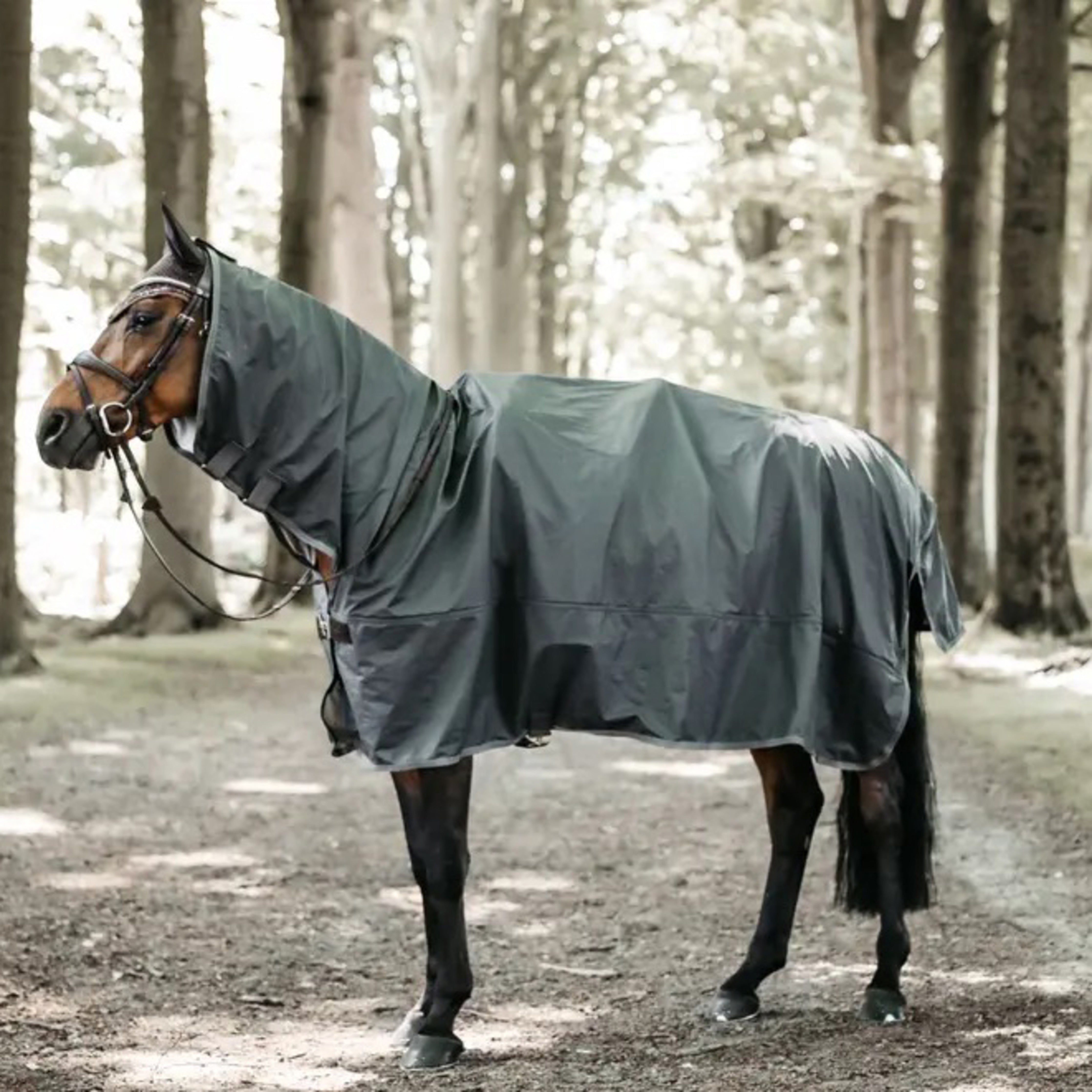 Kentucky Horse Raincoat Hurricane