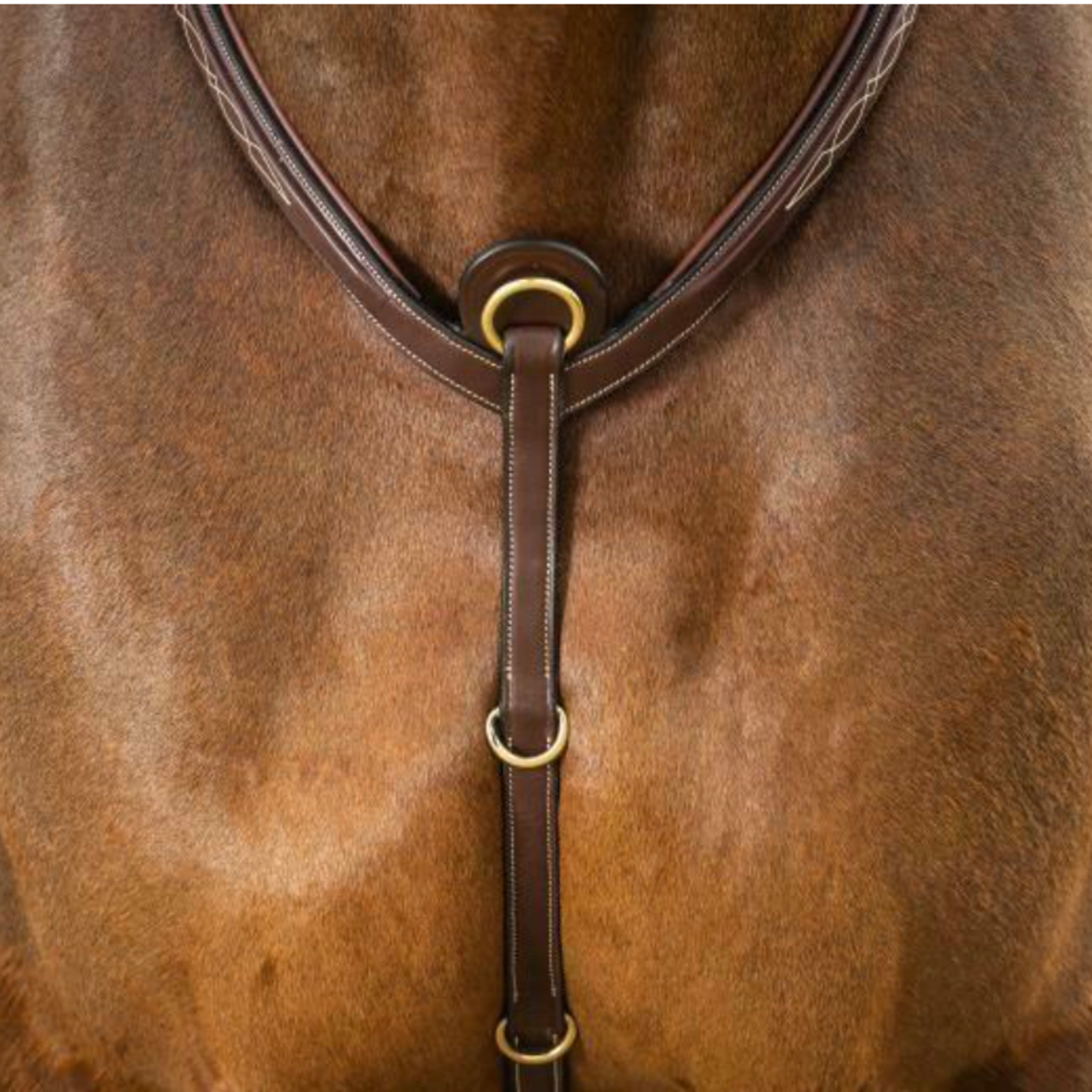 Dyon Elastic Bridge Breastplate